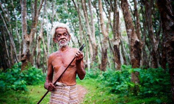 A shirtless, elderly man holding a stick in a jungle.