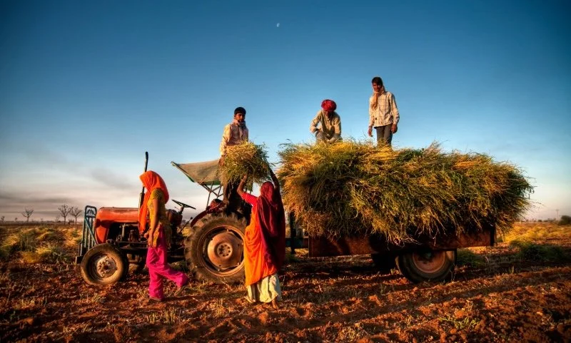 Explained: Why Farmers Are Opposing the India-US Trade Agreement