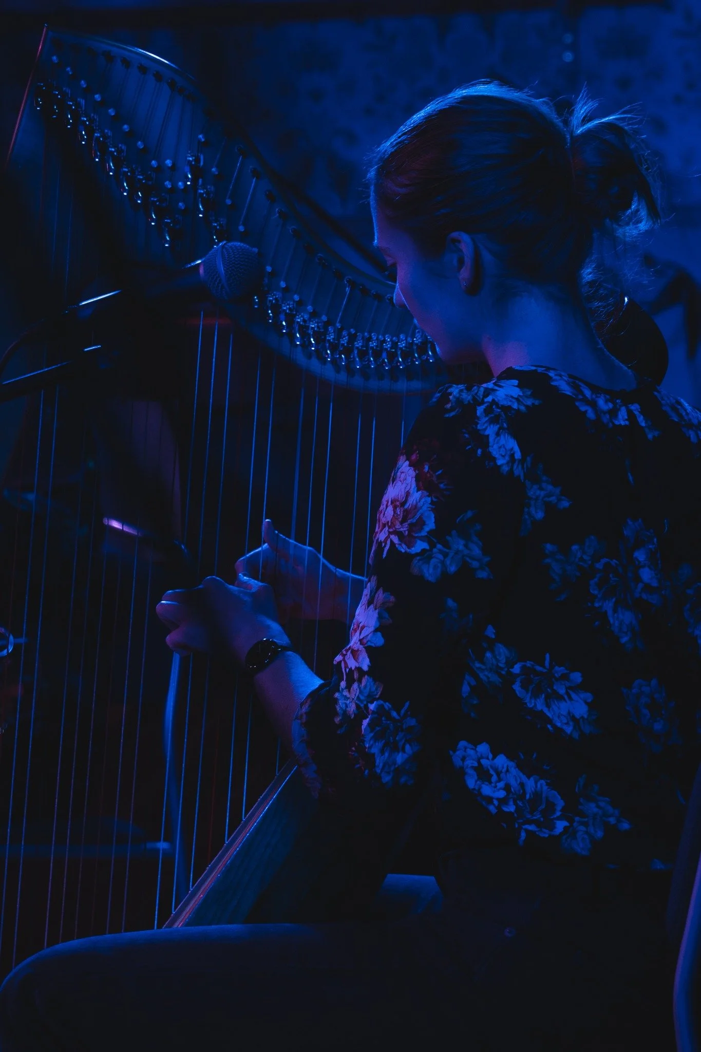 26.01.2023 - Mykorhiza + Sillén_Irvive_Backgård_6_foto_josefin_stacy(SIB).jpeg