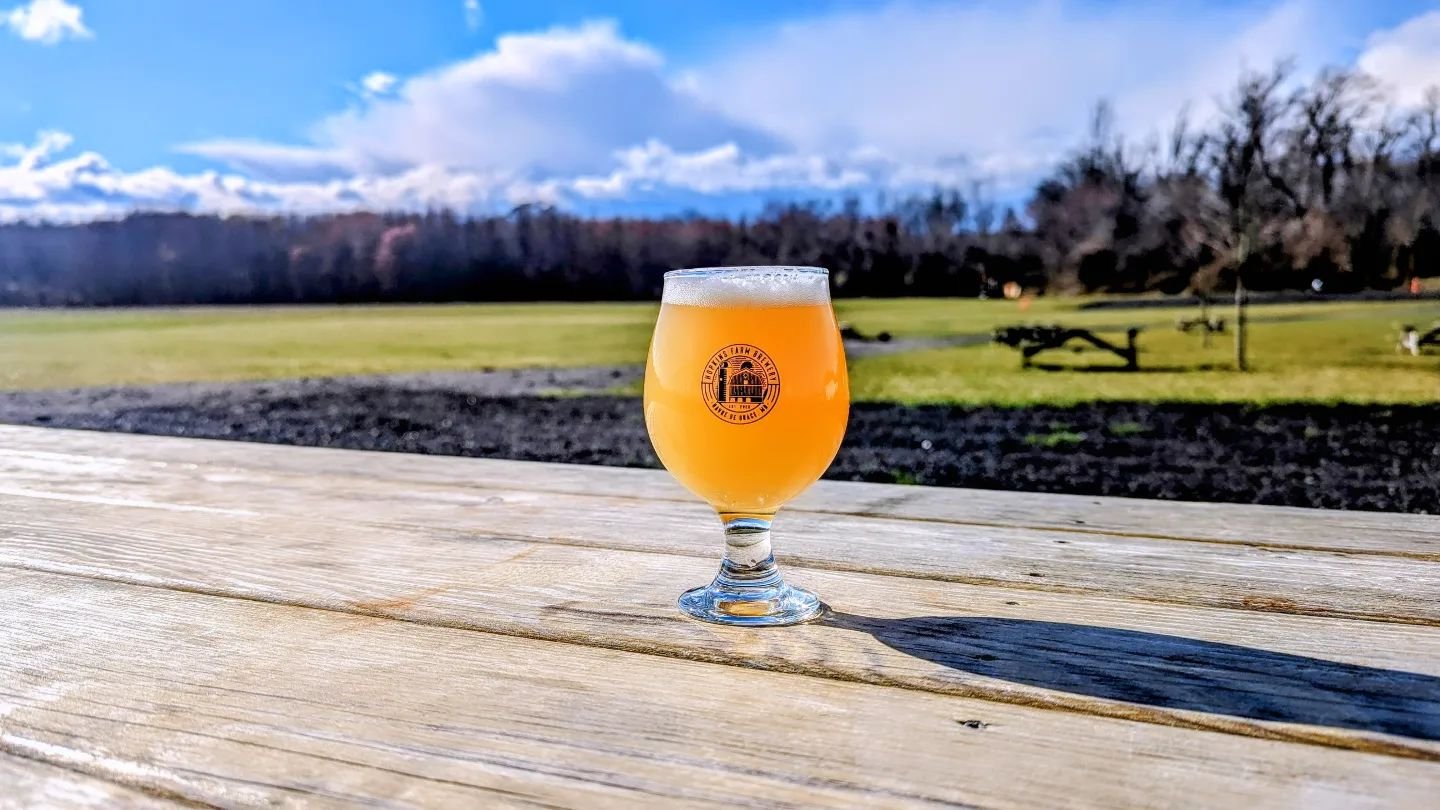 It's a beautiful day for a beer outside with some delicious food and live music all day!

Food: @fuzziesburgers (credit card only) and Naughty Dogs at 12PM
Music: @One.Step.Down at 1PM and The Replicates at 5PM