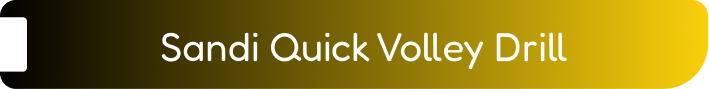 Sandi Quick Volley Drill