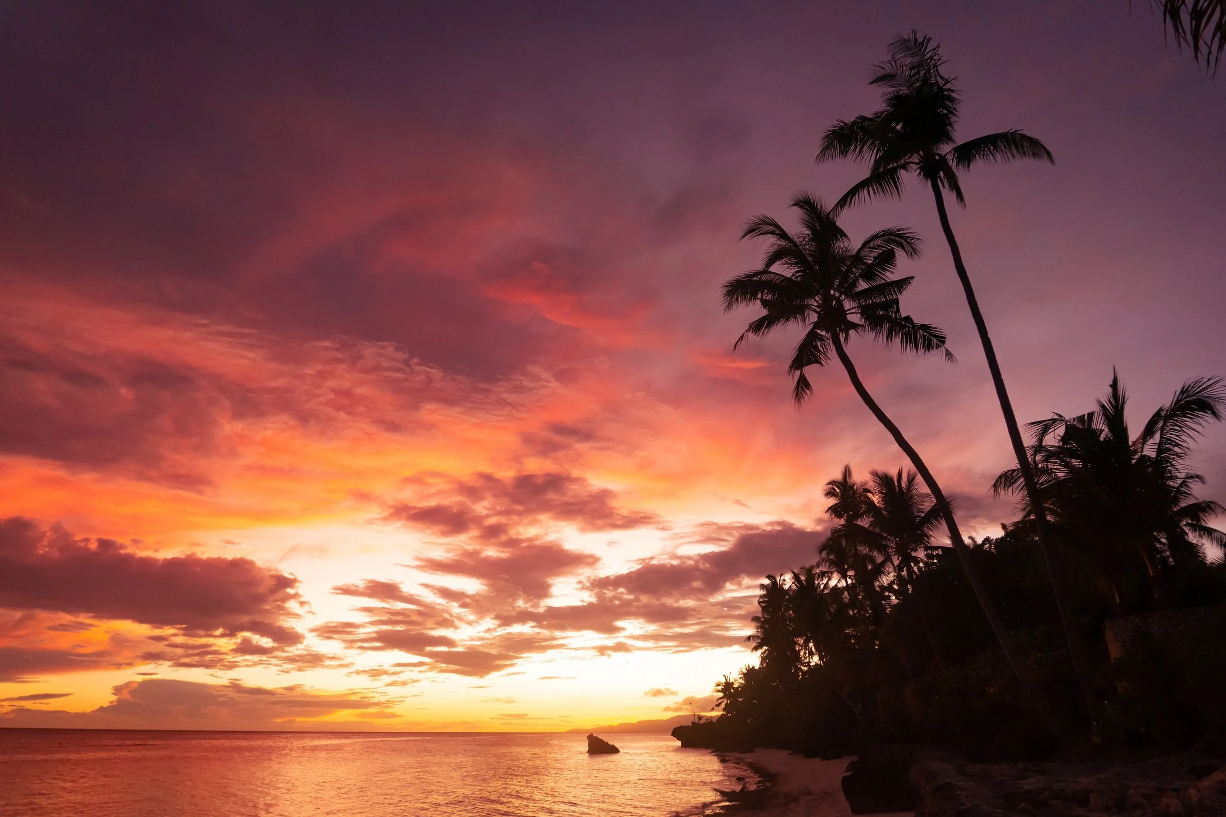 Palm sunset, Bohol, Philippines