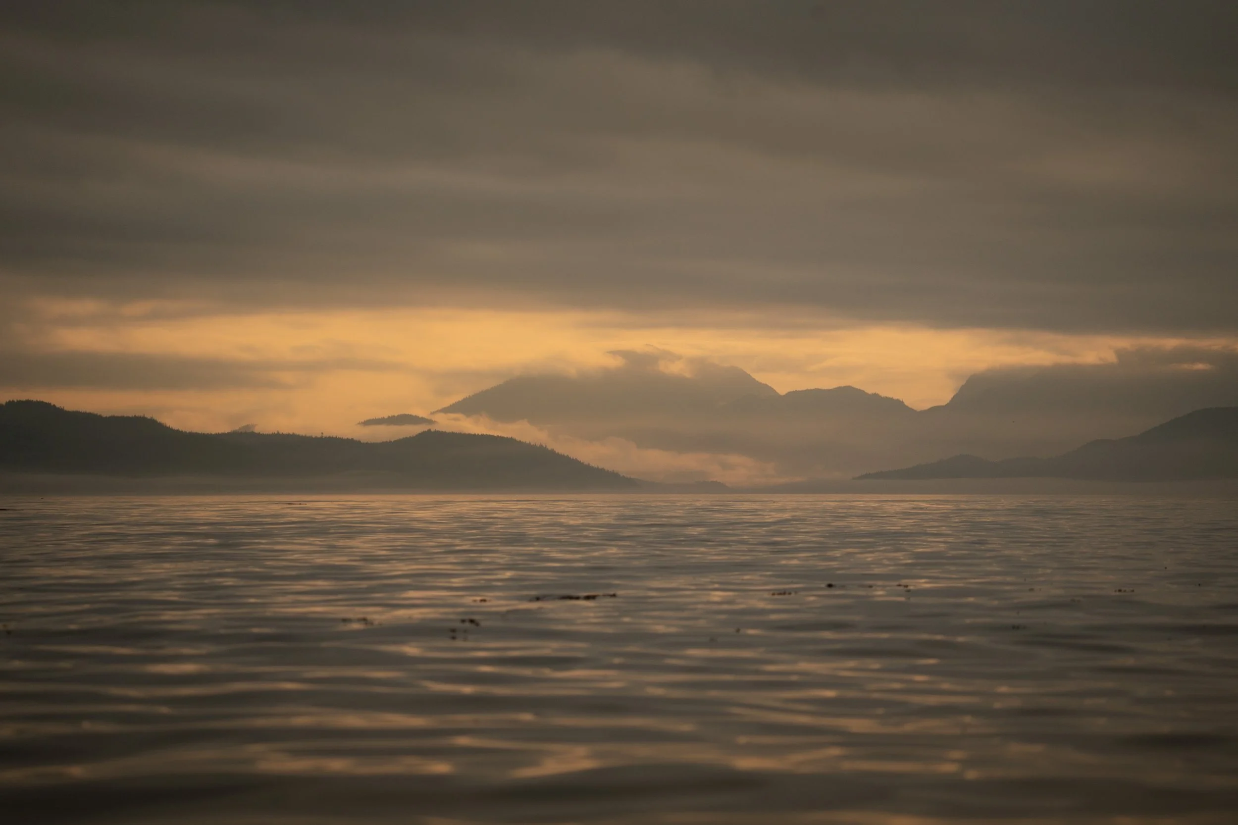 Johnstone Straight, Vancouver Island, Canada