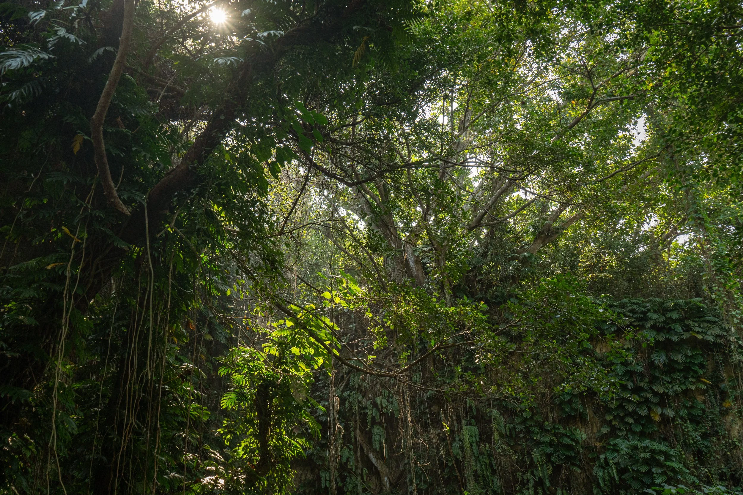 #17 Xiao Liuqui: Taiwans verwirrende Koralleninsel