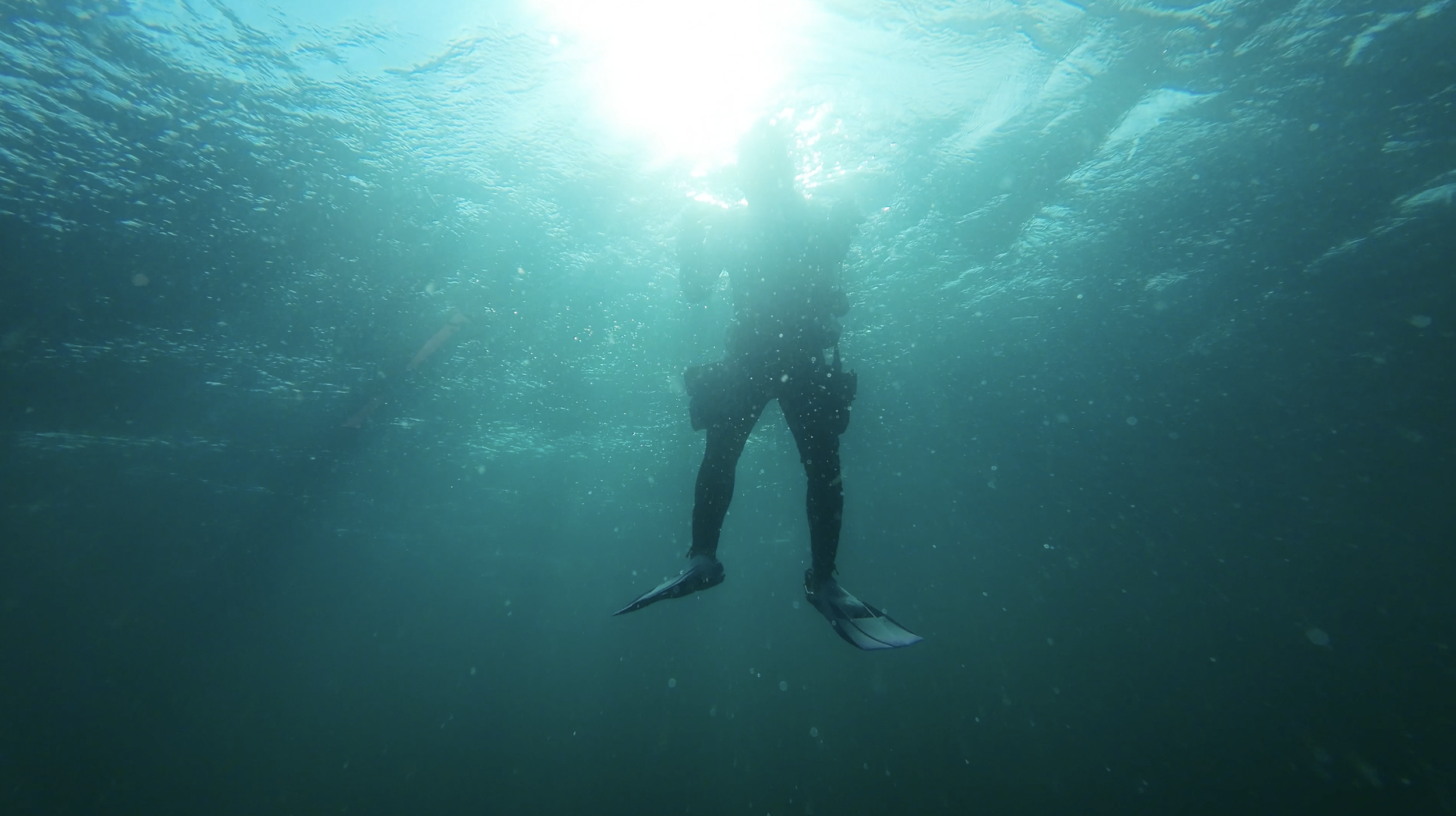 Diving.png