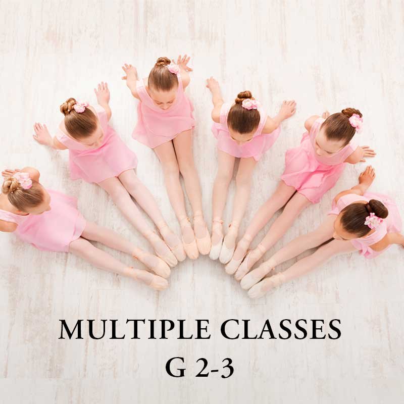 TGSOD-mulit-classes-g2-3.jpg