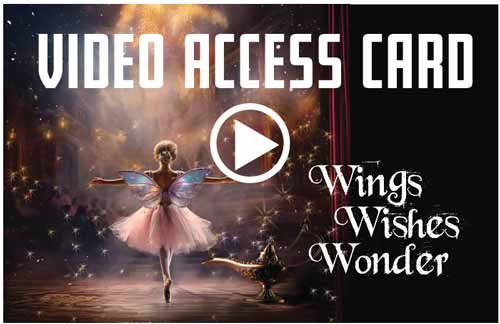 VIDEO-ACCESS-CARD.jpg