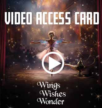 video-card-preview.jpg