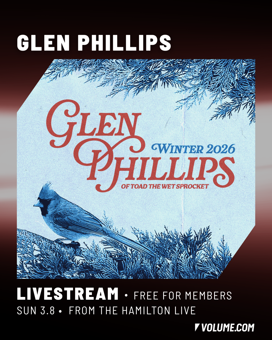 Glen Phillips Hamilton Live