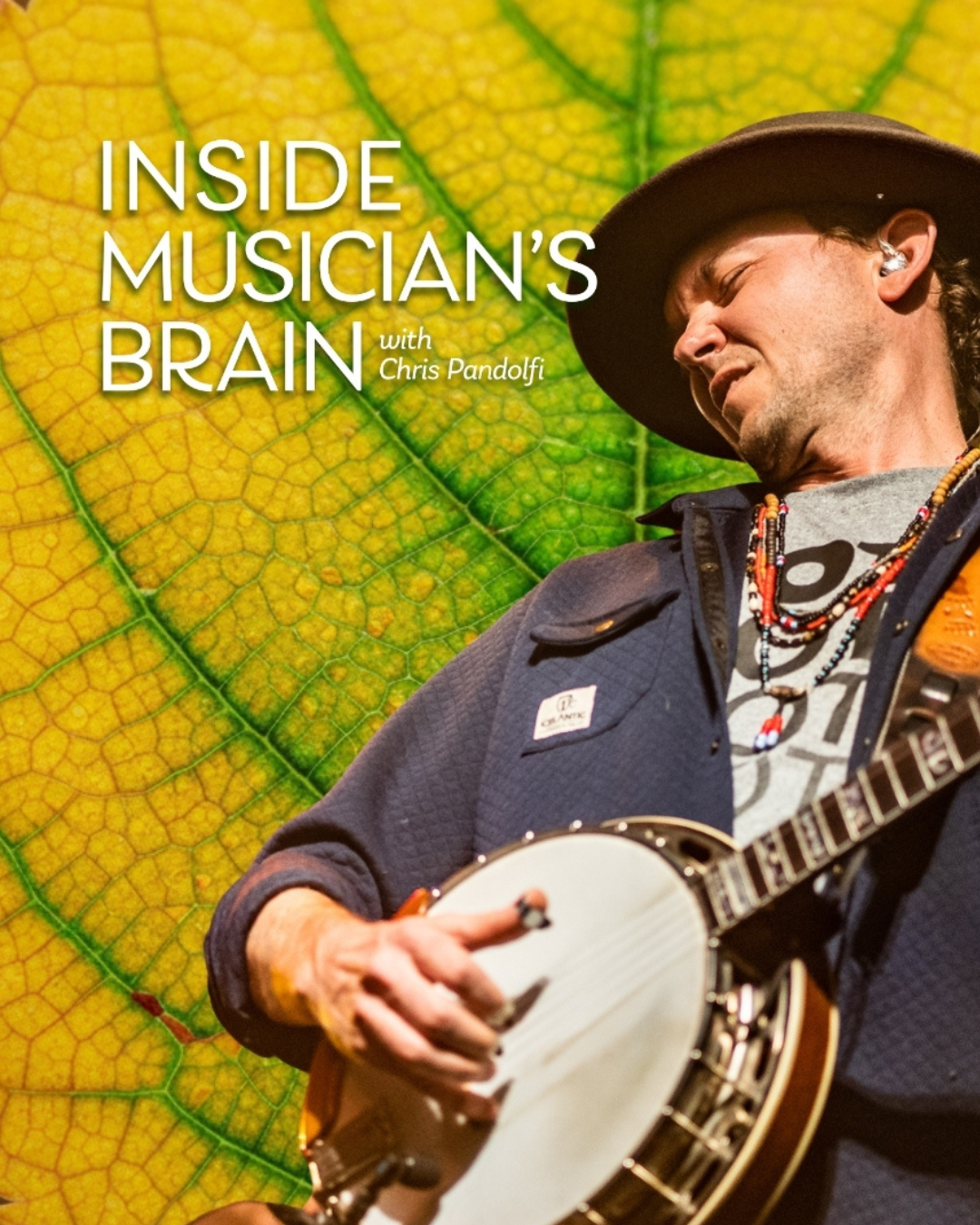 Chris Pandolfi's Inside the Musician's Brain on Volume.com