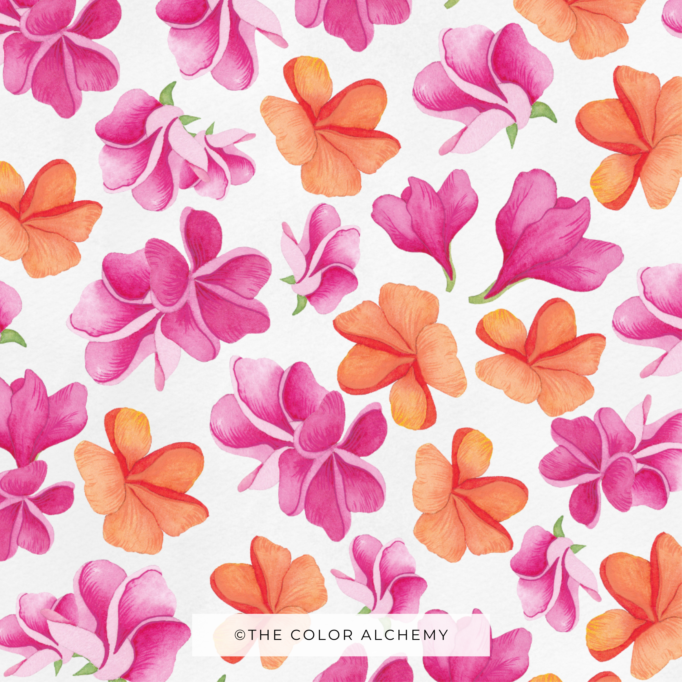 PLUMERIA