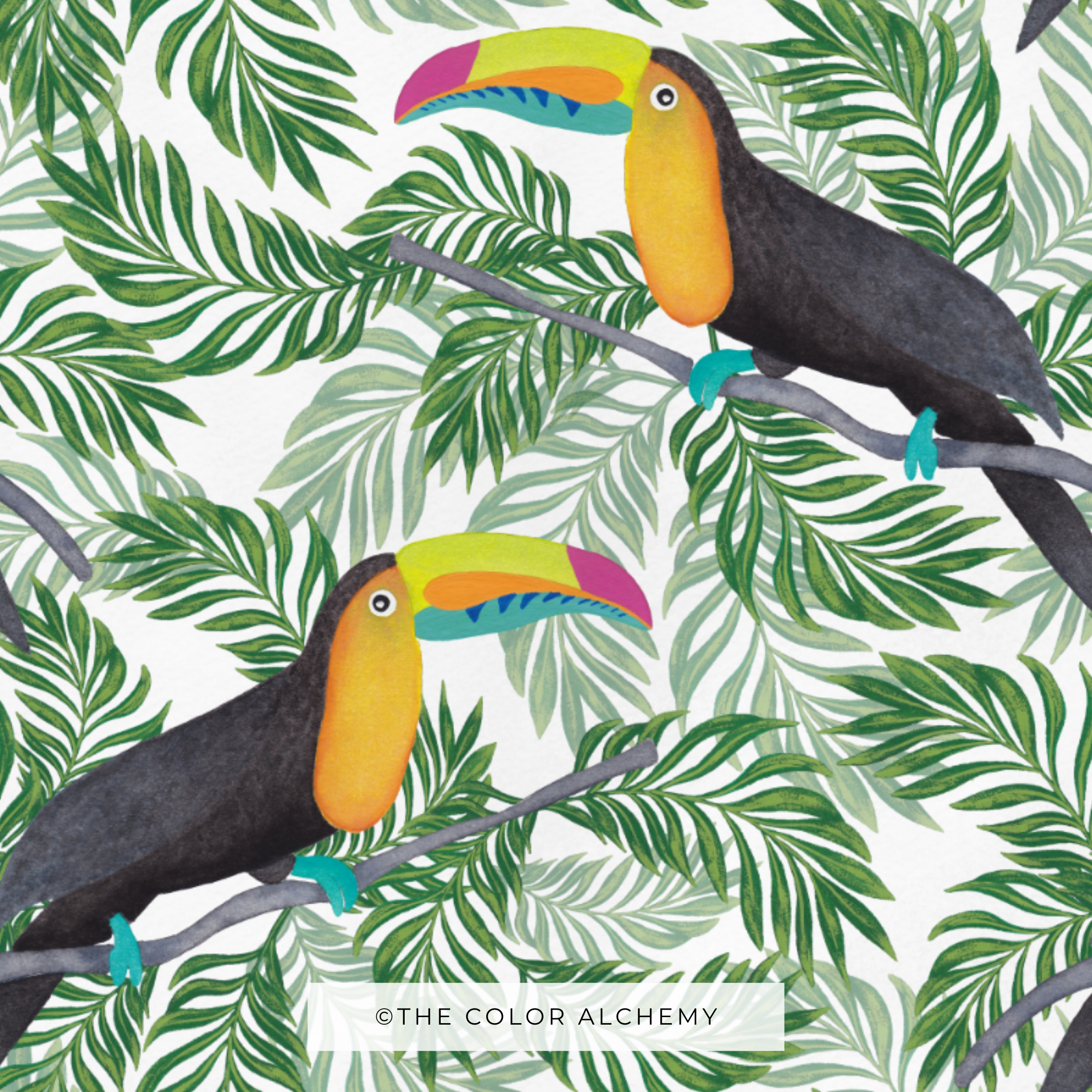 TOUCAN