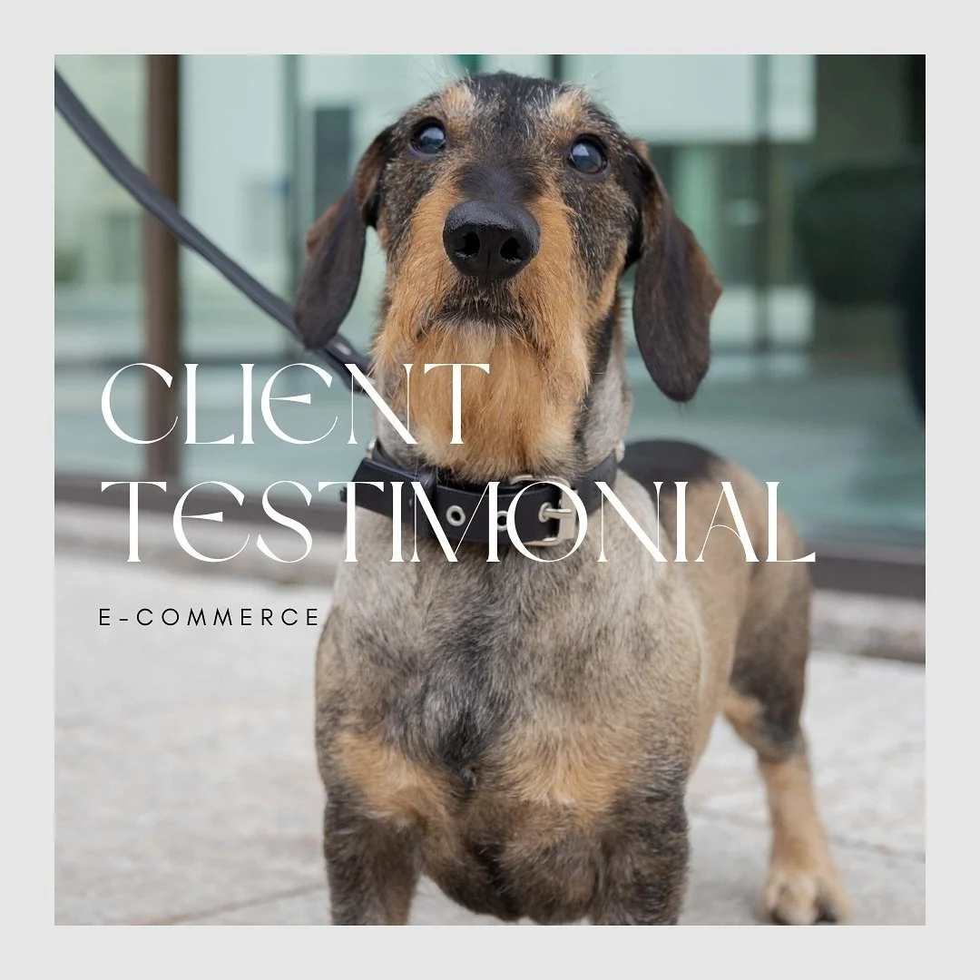 AVIS CLIENT 🫶🏻
&ldquo;I am very satisfied with both the graphic and technical aspects. I will definitely reach out to you again for the websites of my other projects.&rdquo; Elena Romagnoli - Founder @pet_a_porter_italia 

Pr&ecirc;t &agrave; r&eac