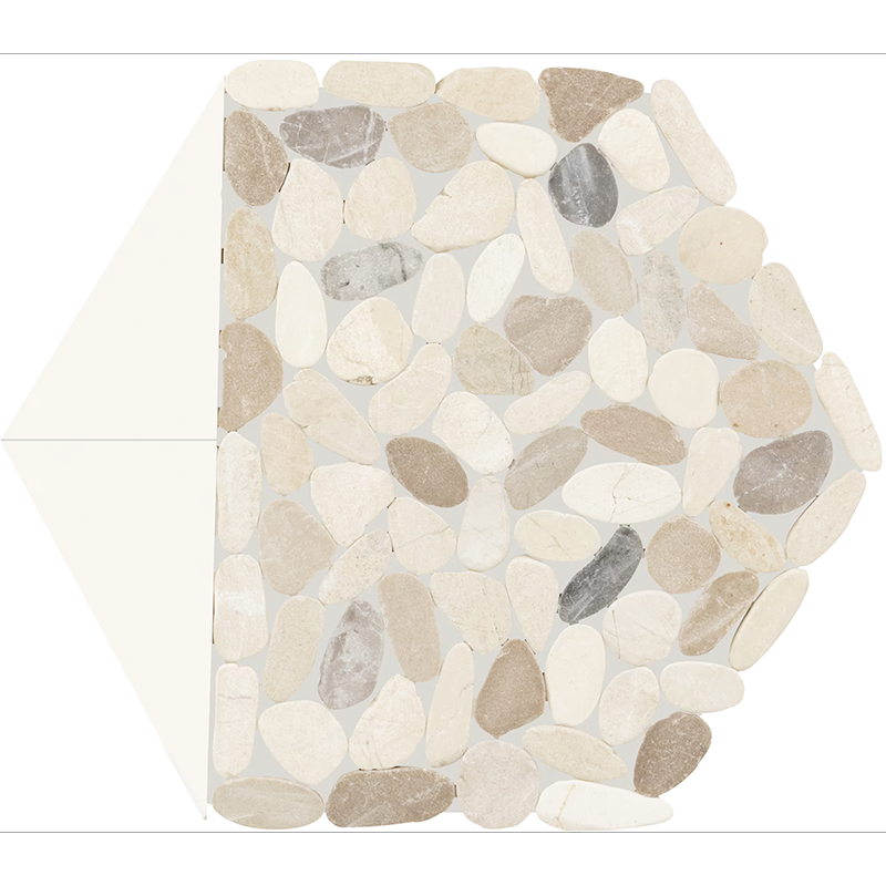 Seashell_4.png