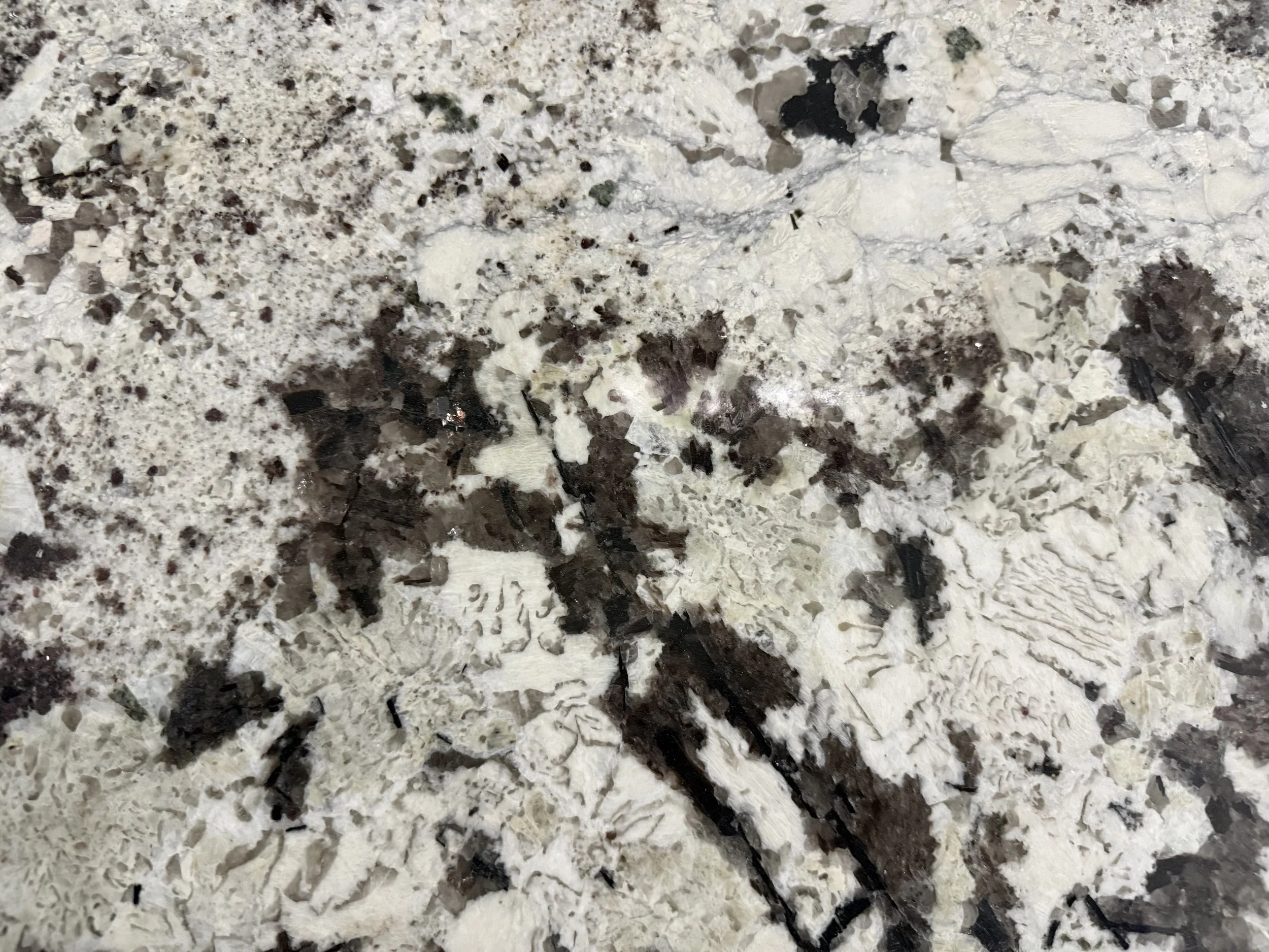 Everest White.jpg