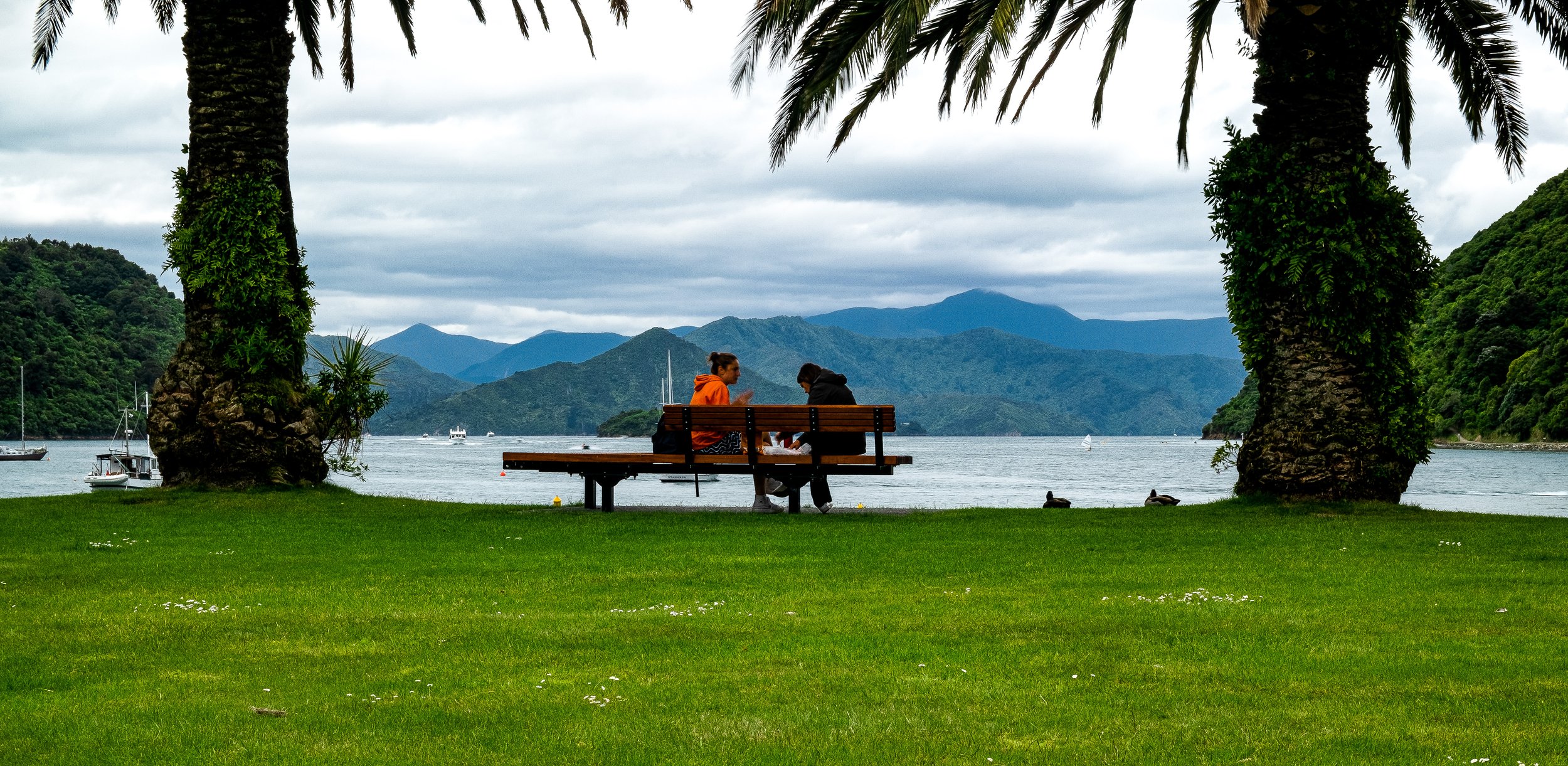 Picton Foreshore - Marlborough Sounds, NZ