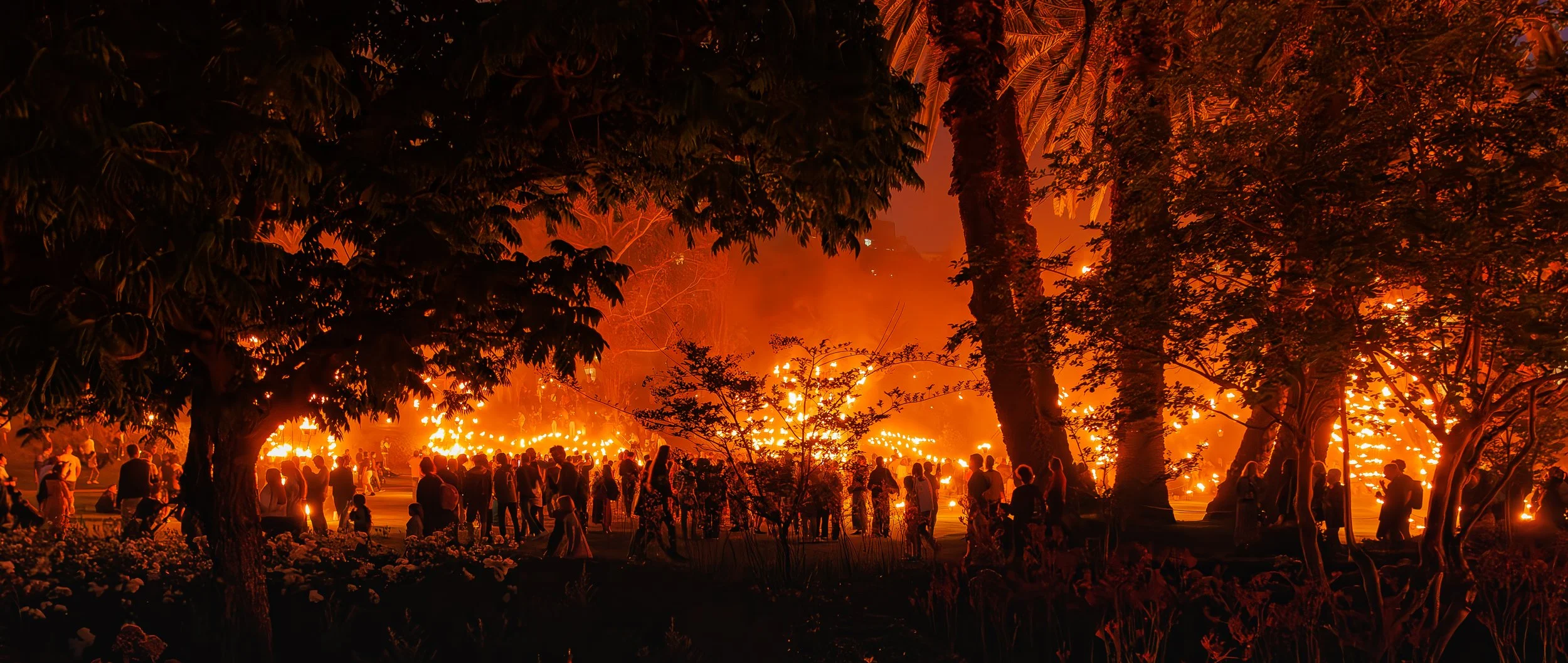 View through the trees