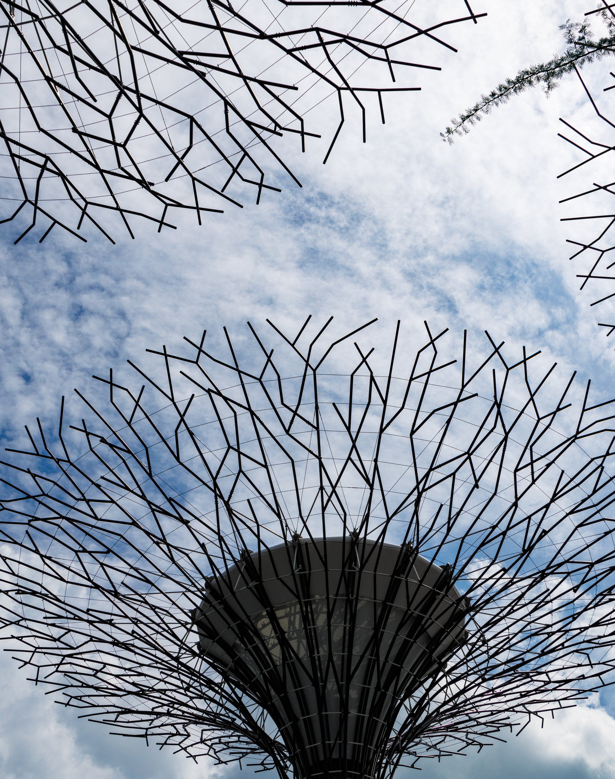 Flower Tower Detail - Gardens by the Bay
