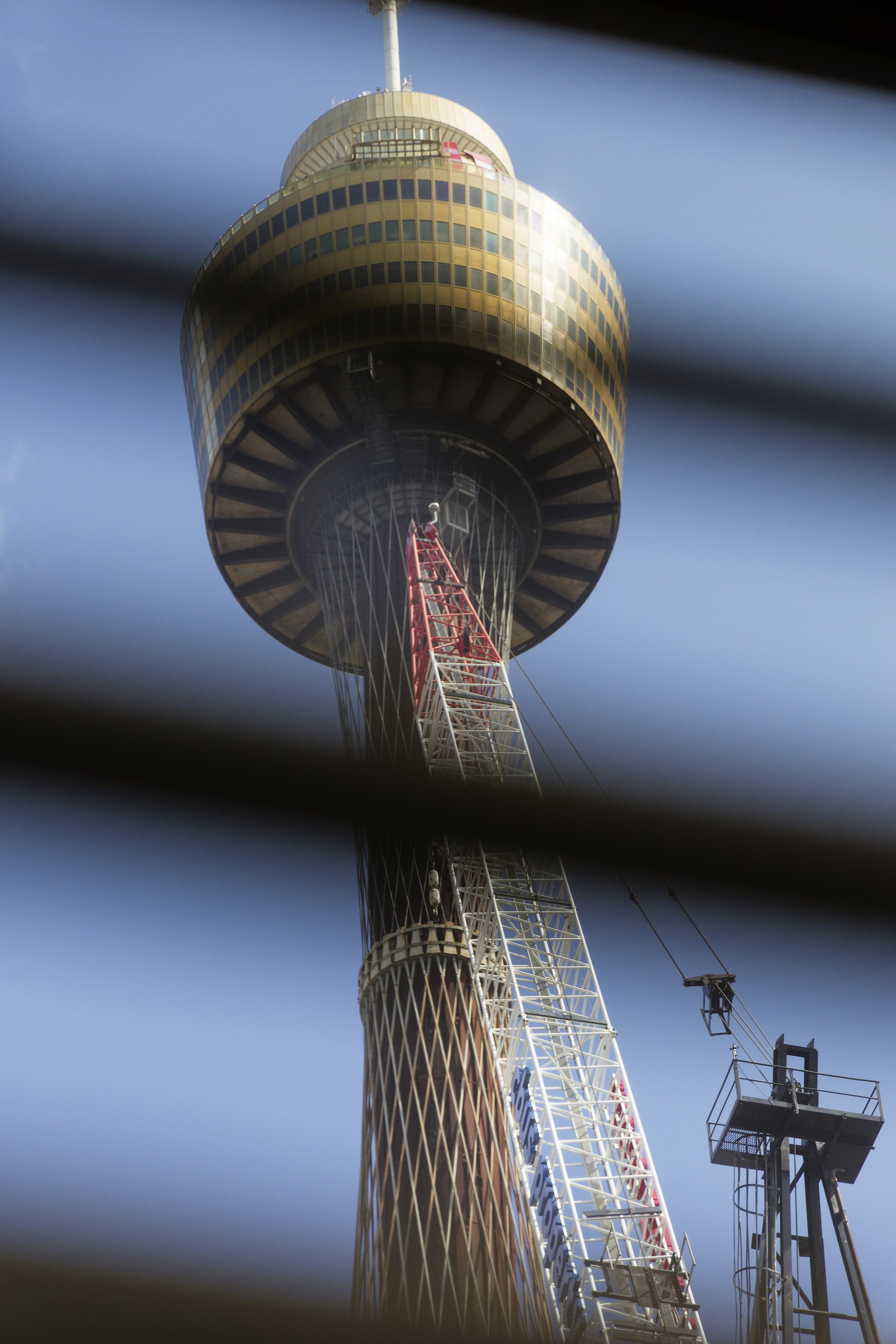 Sydney Tower from our Hotel Room