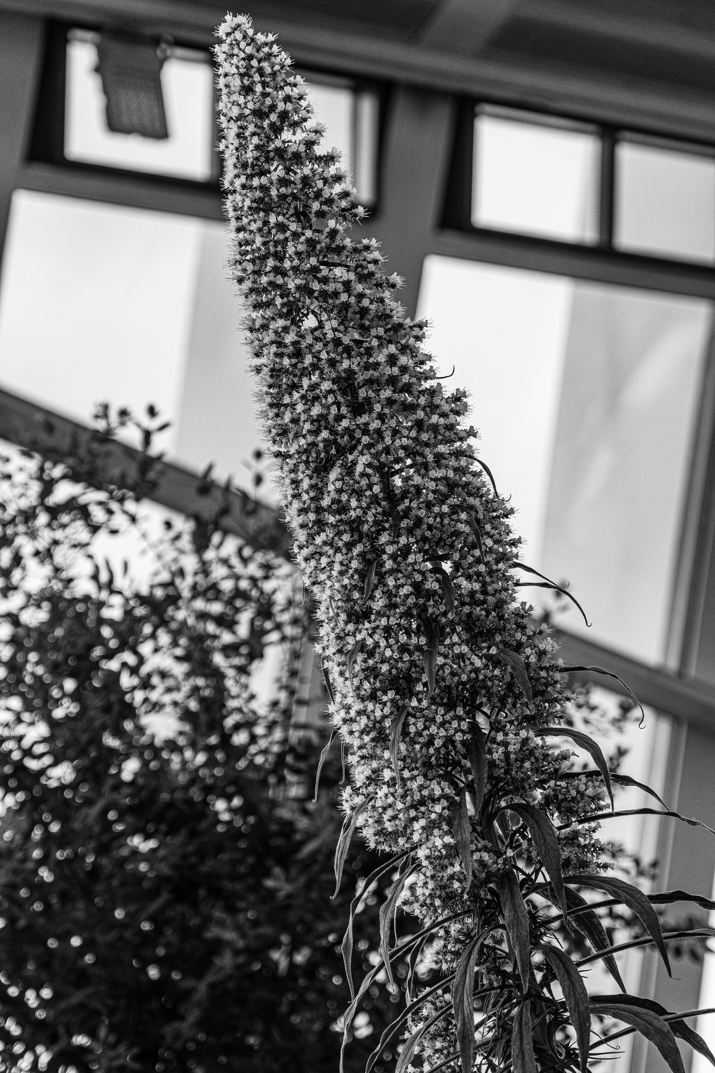 In the Sky Garden