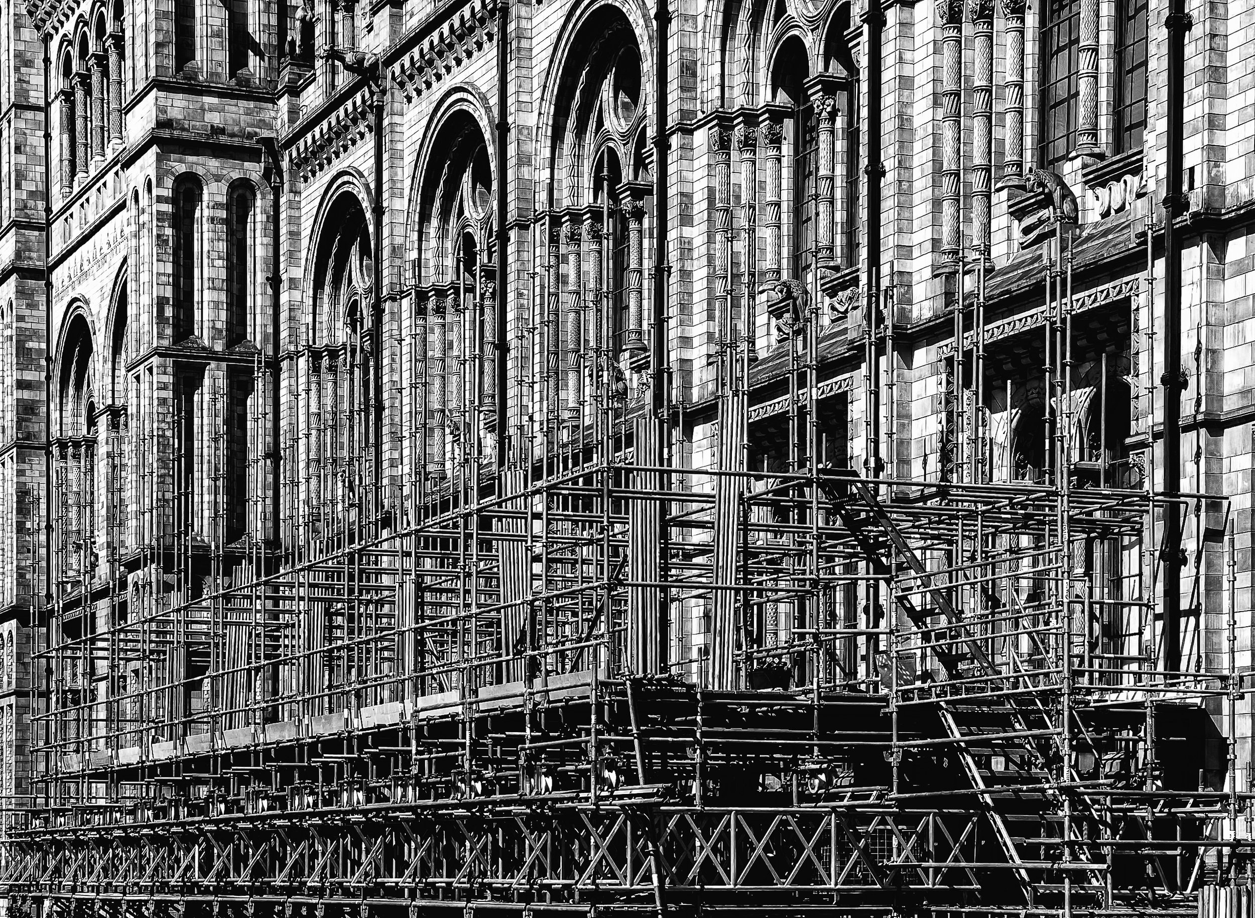 Scaffolding at the Natural History Museum