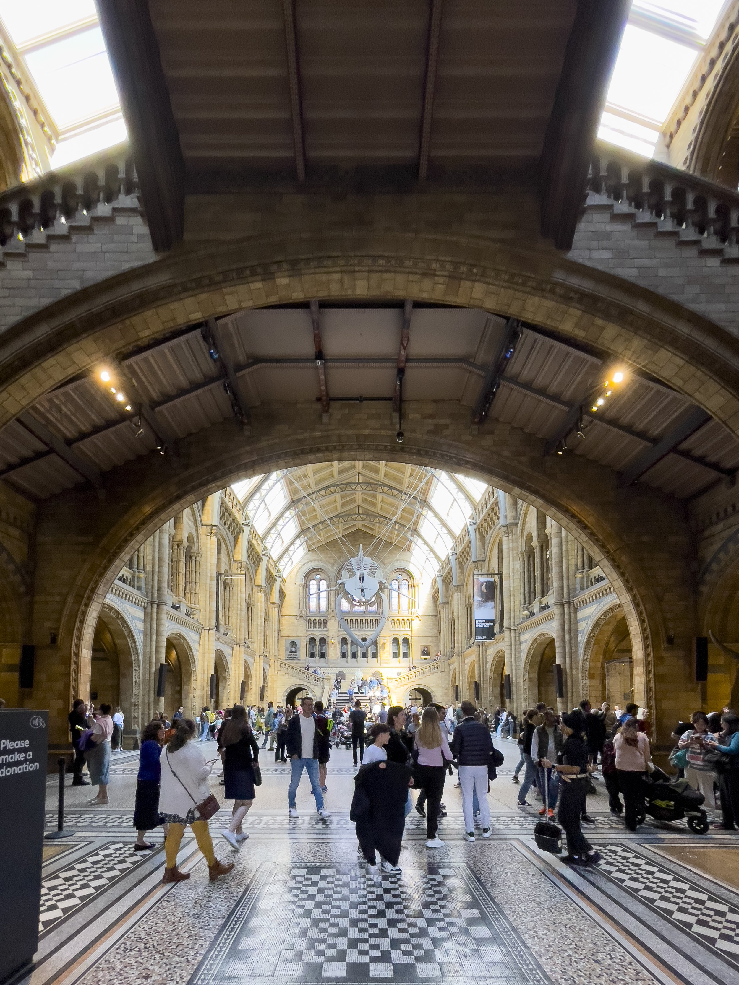 Inside the Natural History Museum