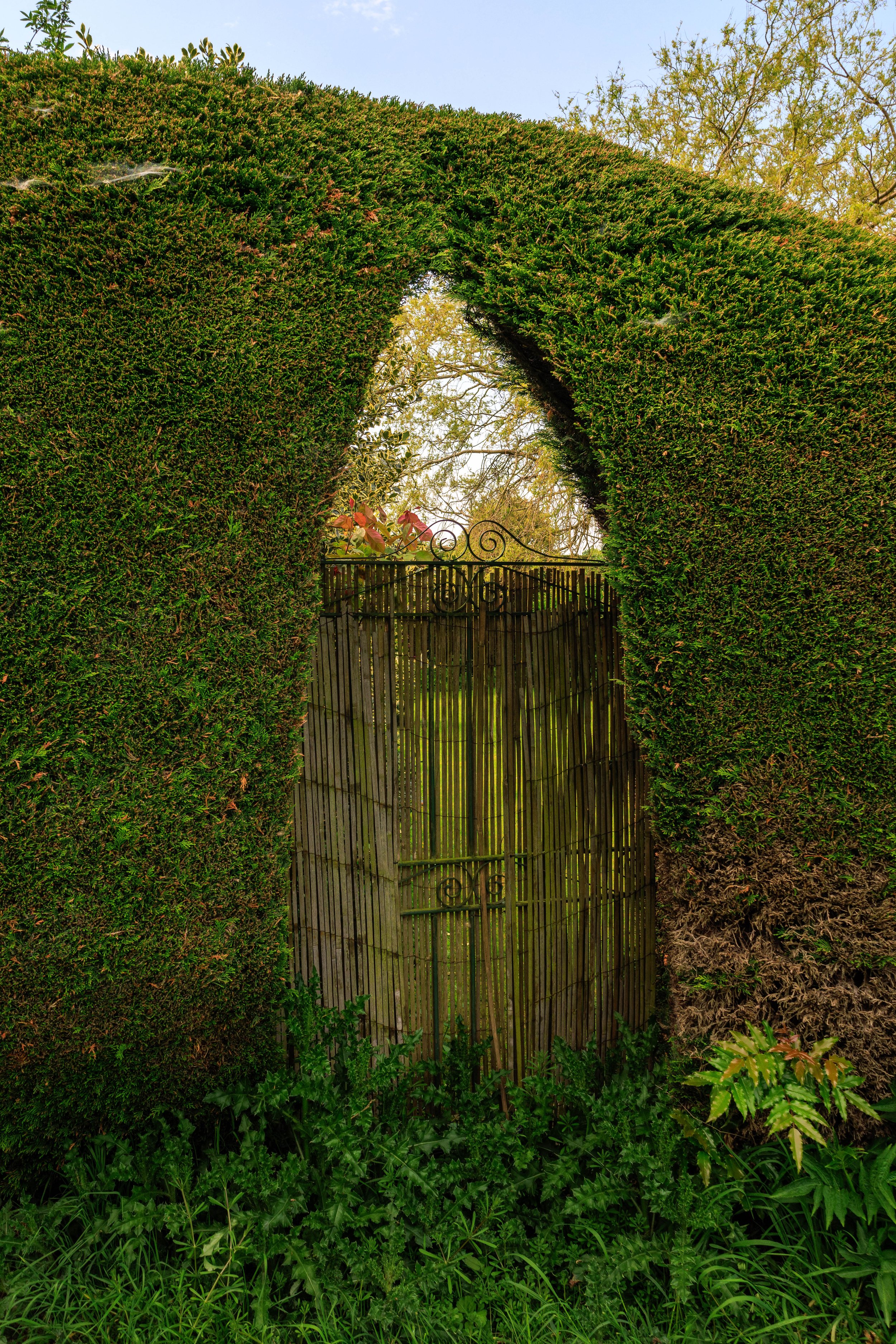 Secret Garden - walking around Cowley Lane