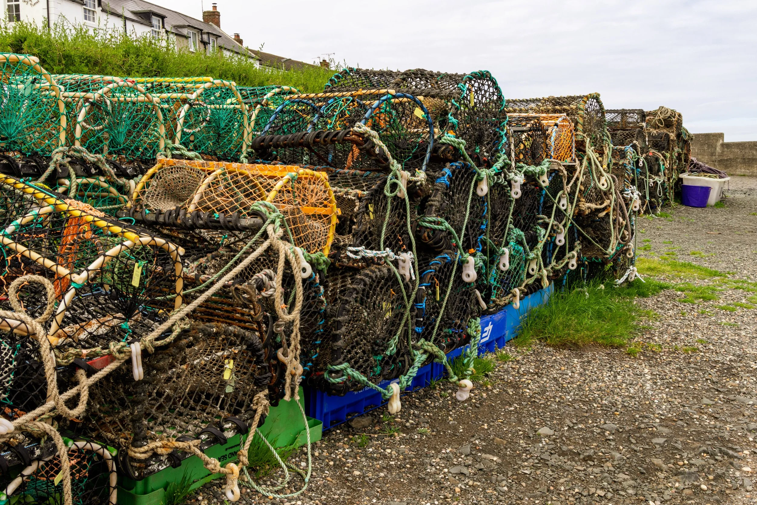 Fishing Nets