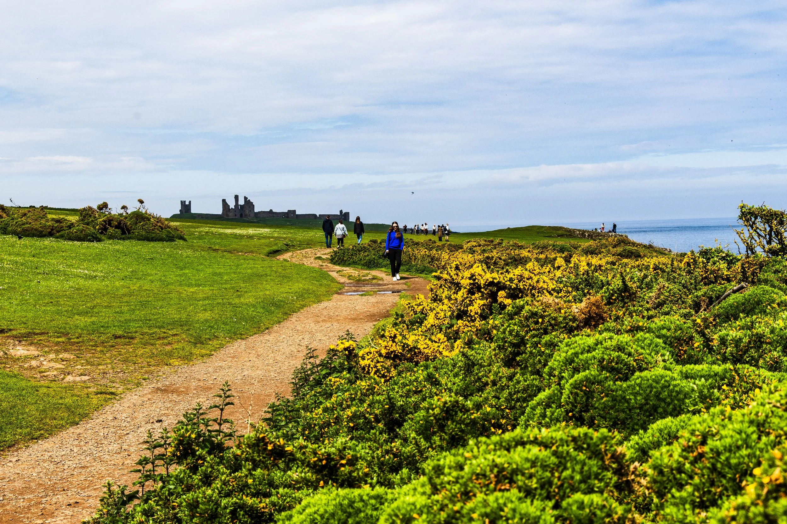 The Path to the Castle