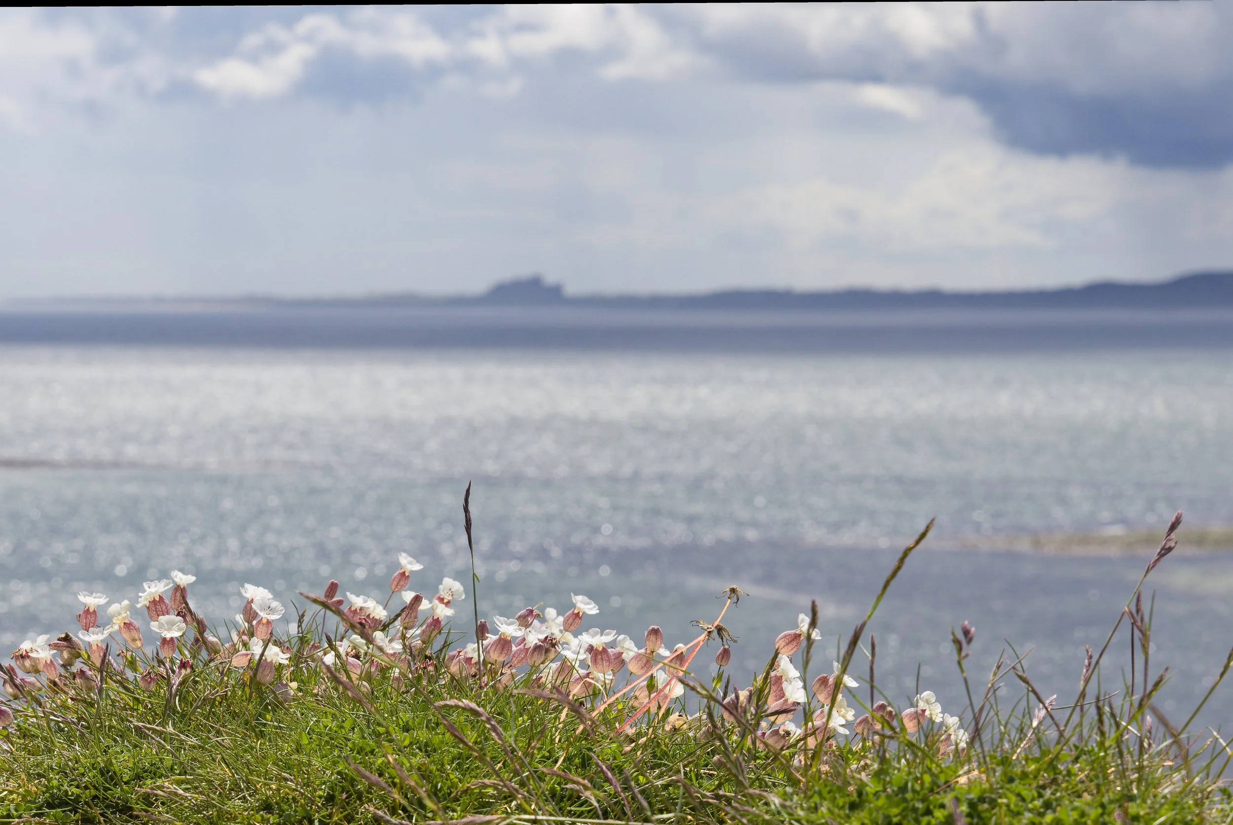 Bamburgh from Lindisfarne