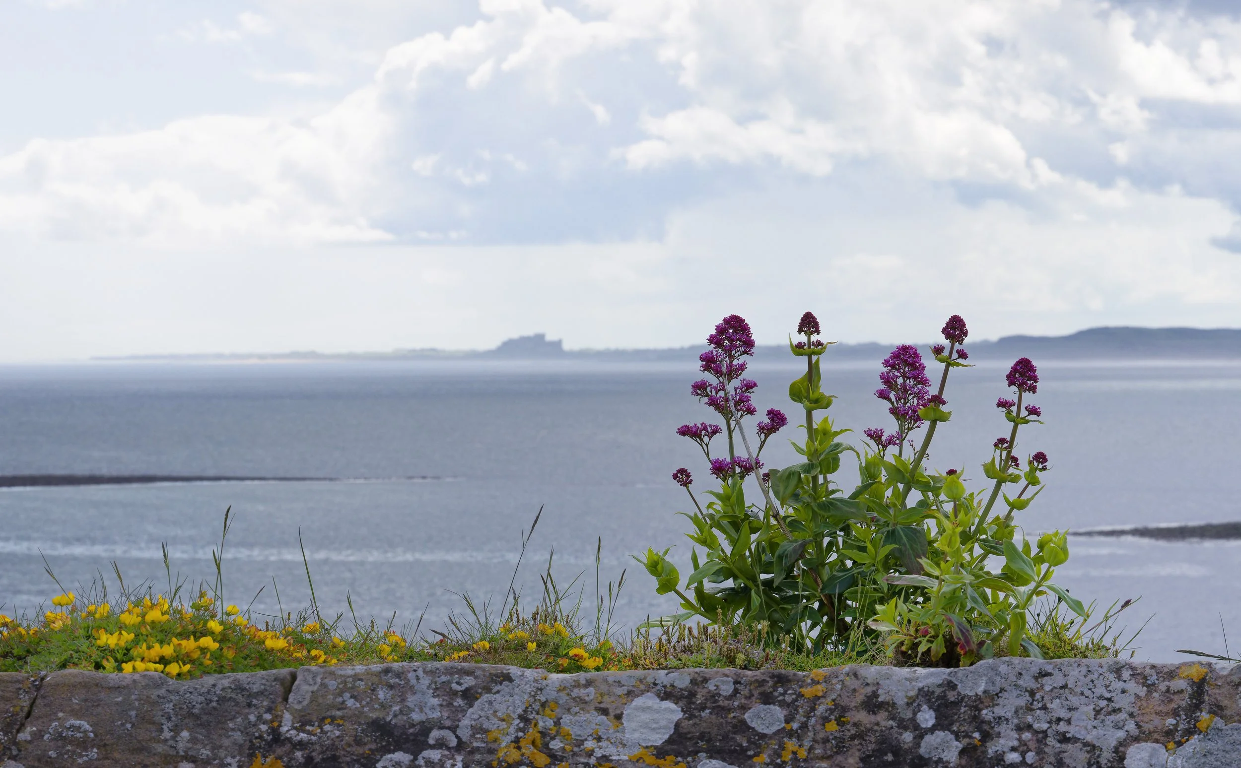 More Views of Bamburgh