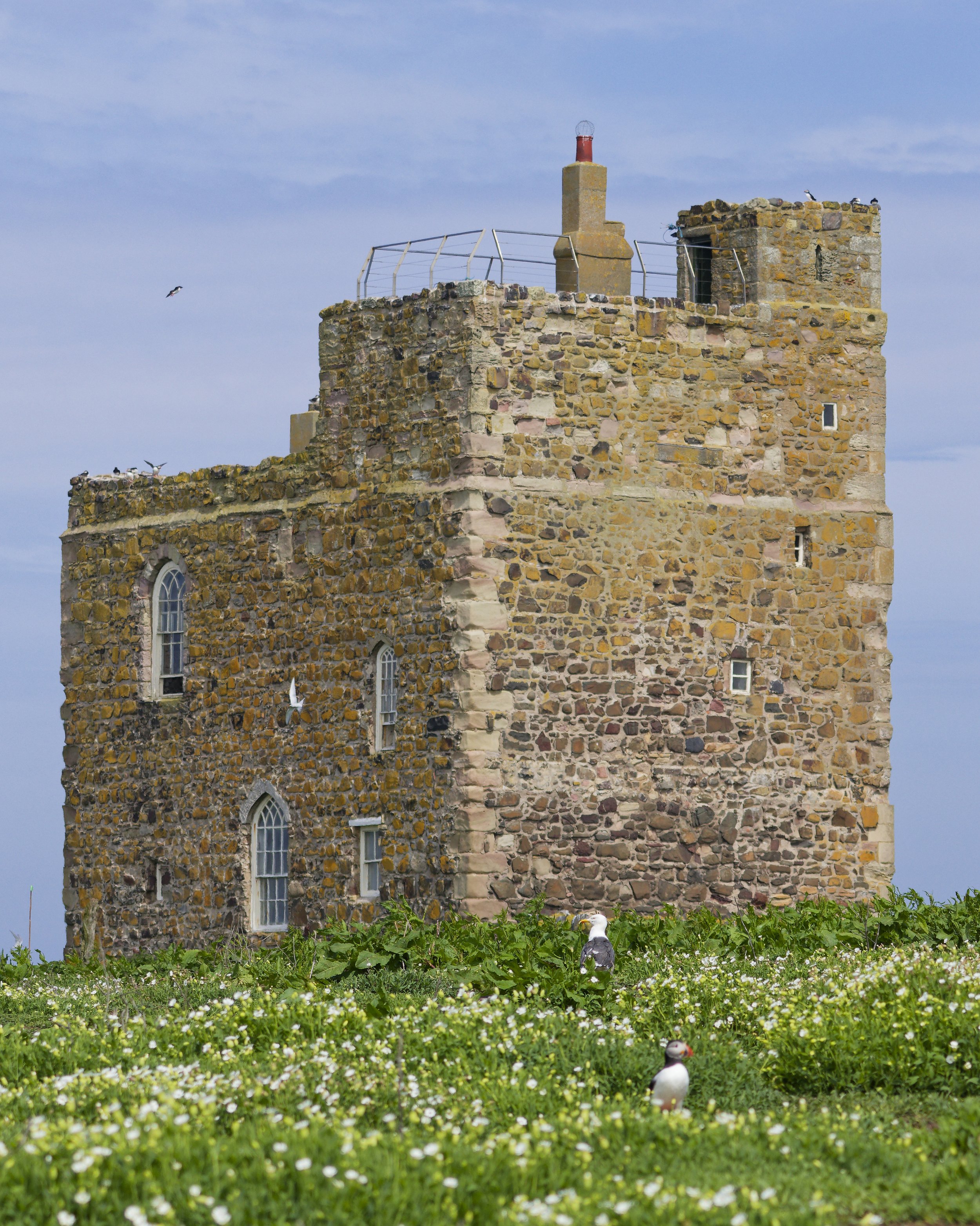 Prior Castell's Tower