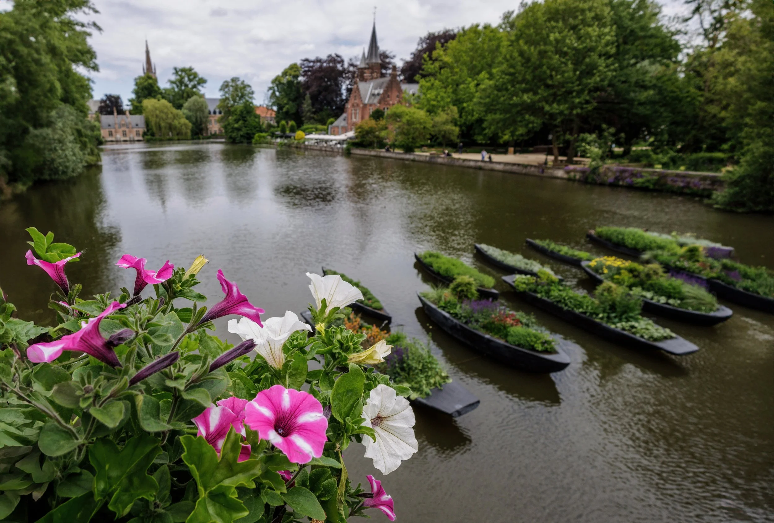 Flowers and Boats