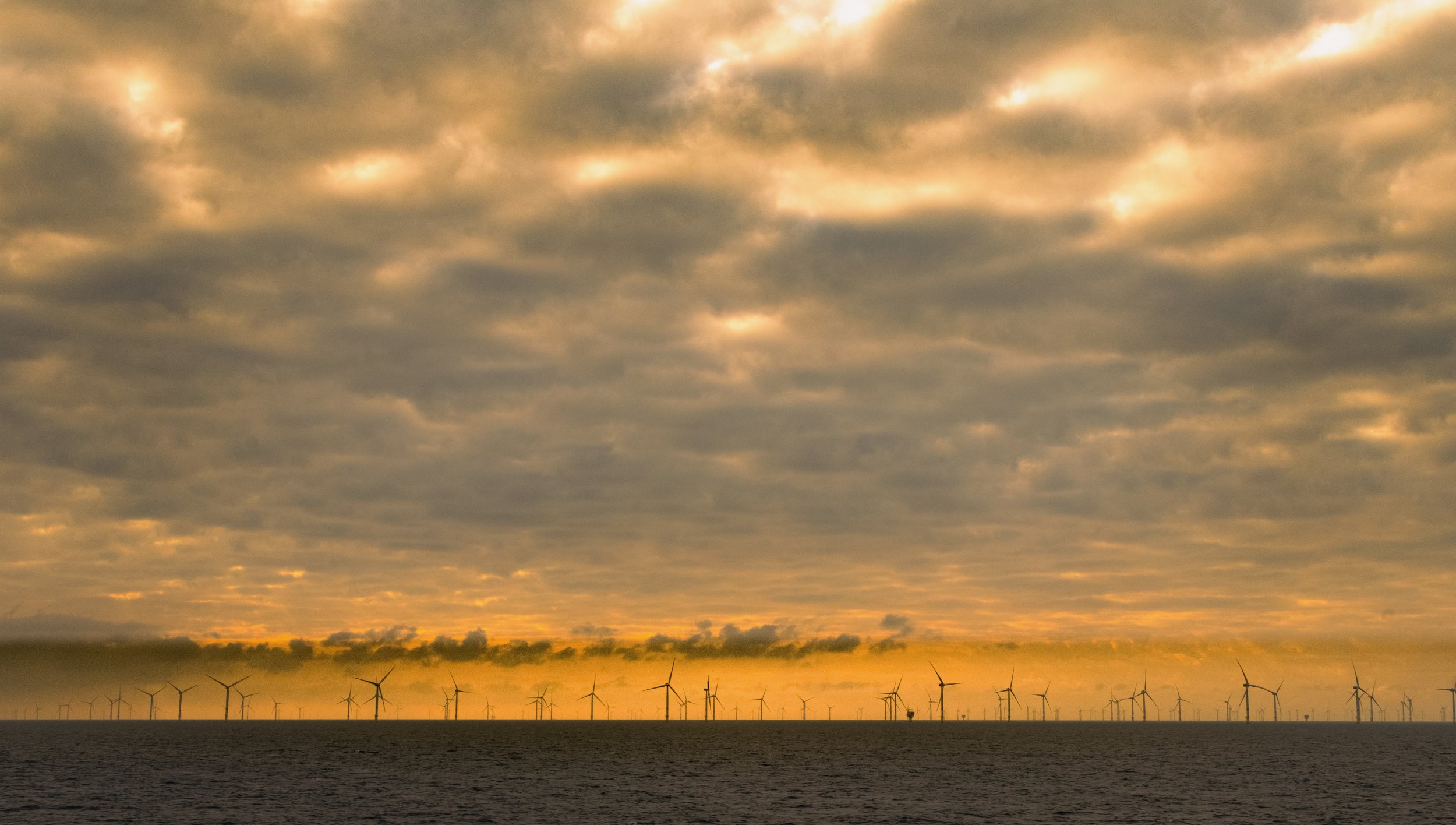 Wind farm out of Zeebrugge
