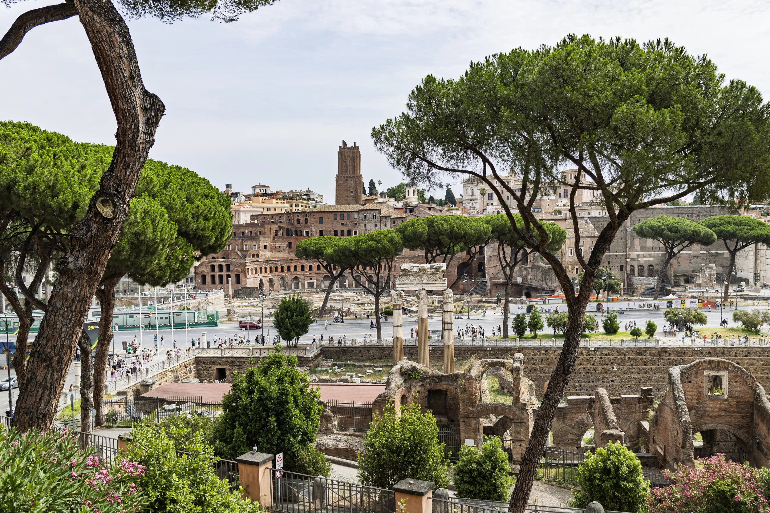 The Forum from the Capitoline Hill