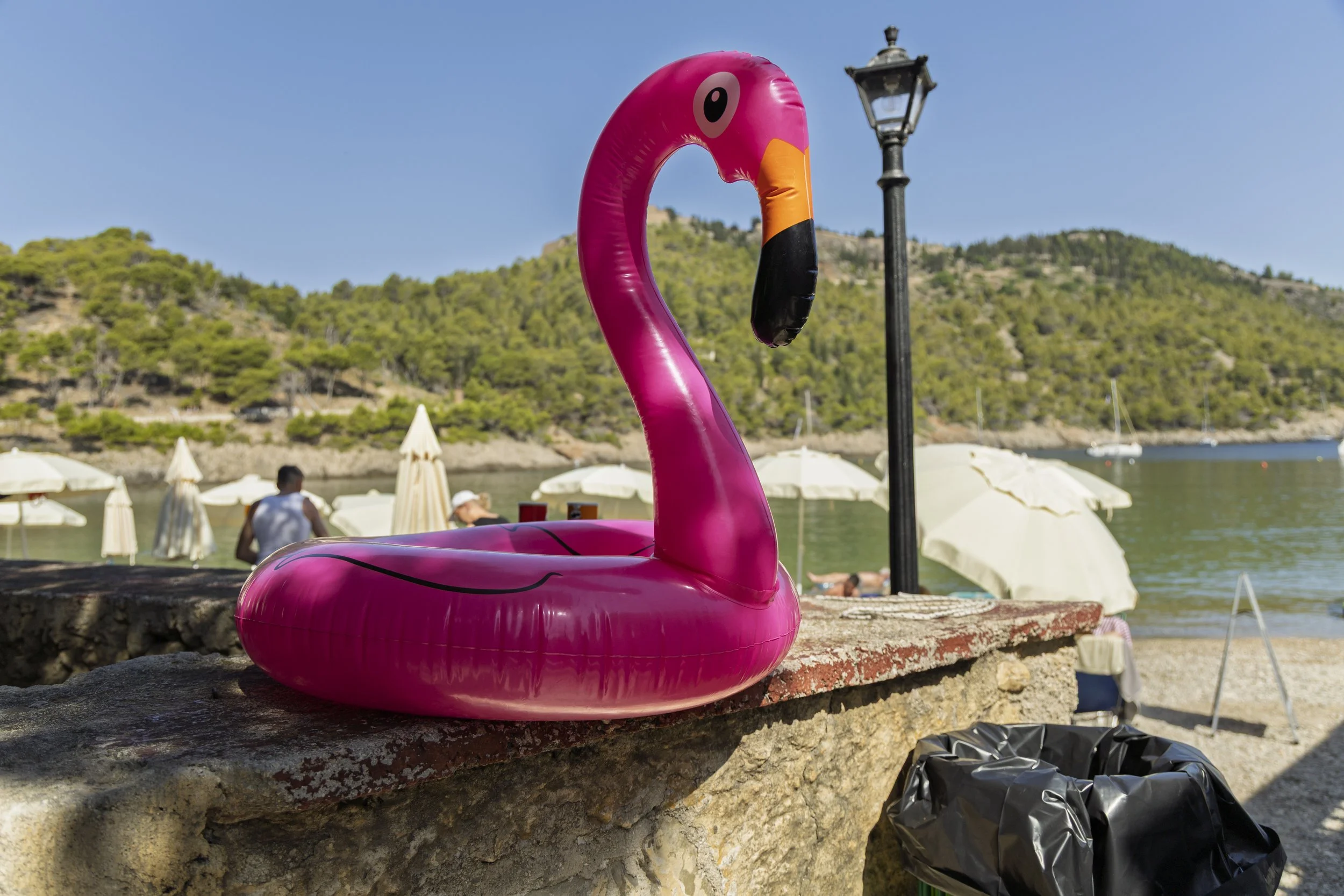 Flamingo