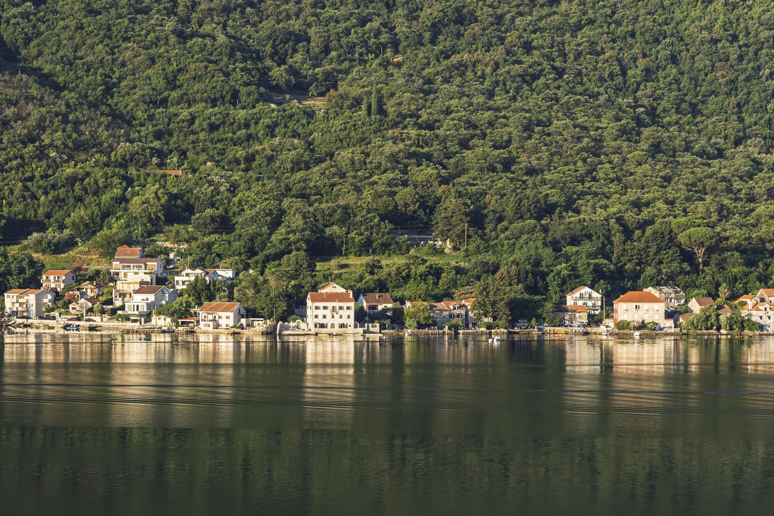 Houses on the Bay