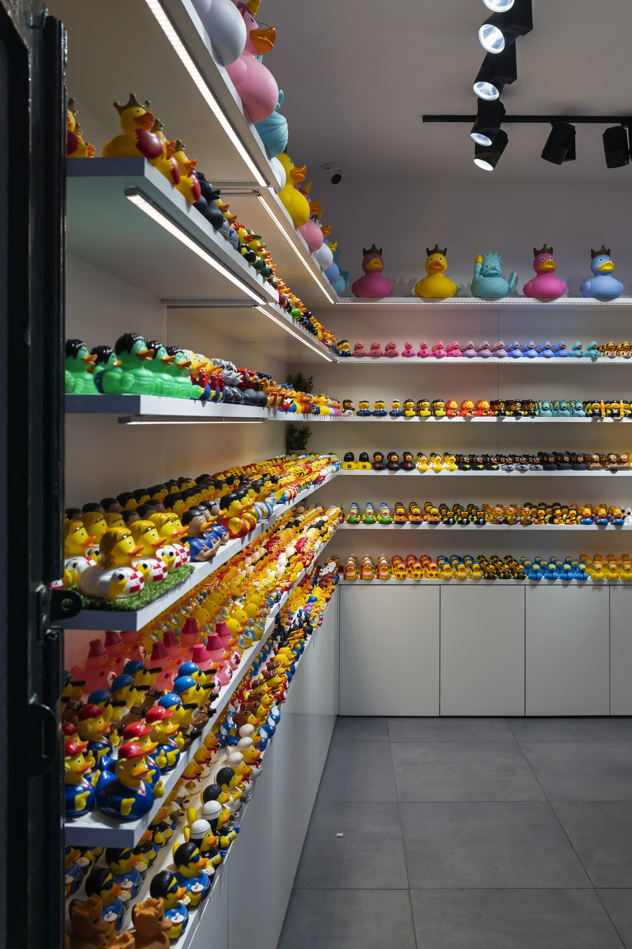 Duck Shop