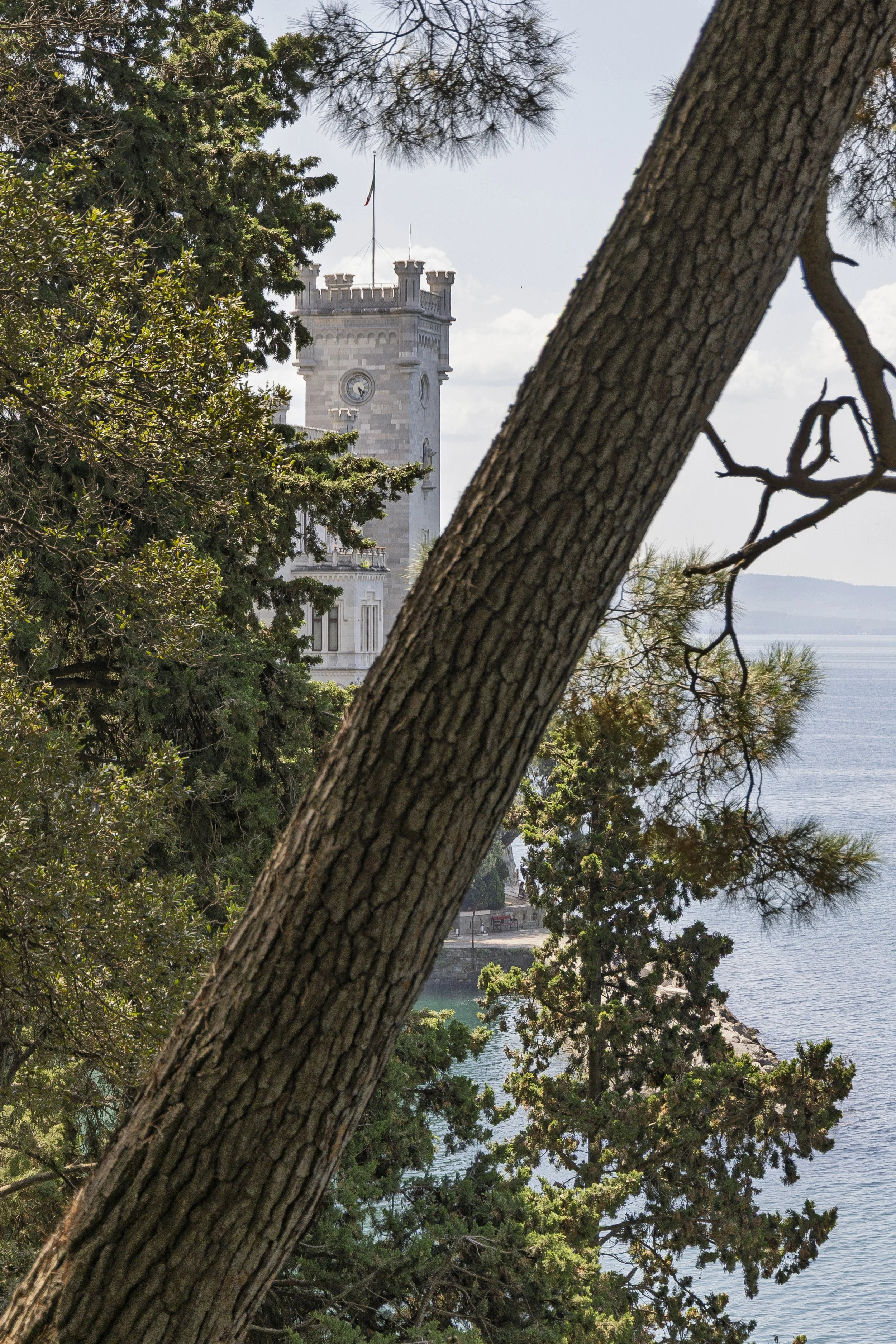 Castle and Tree