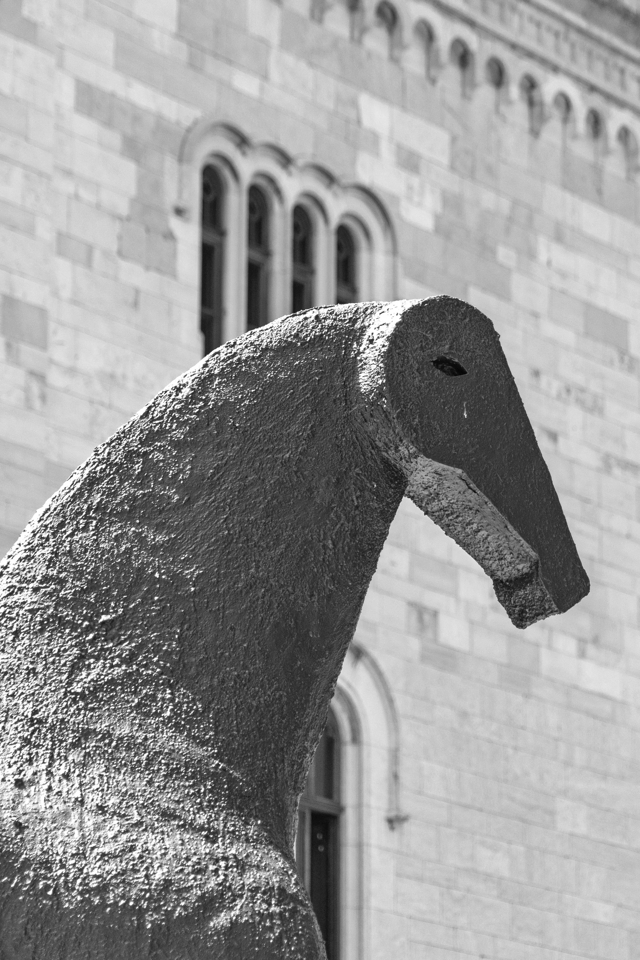 Horse and Castle