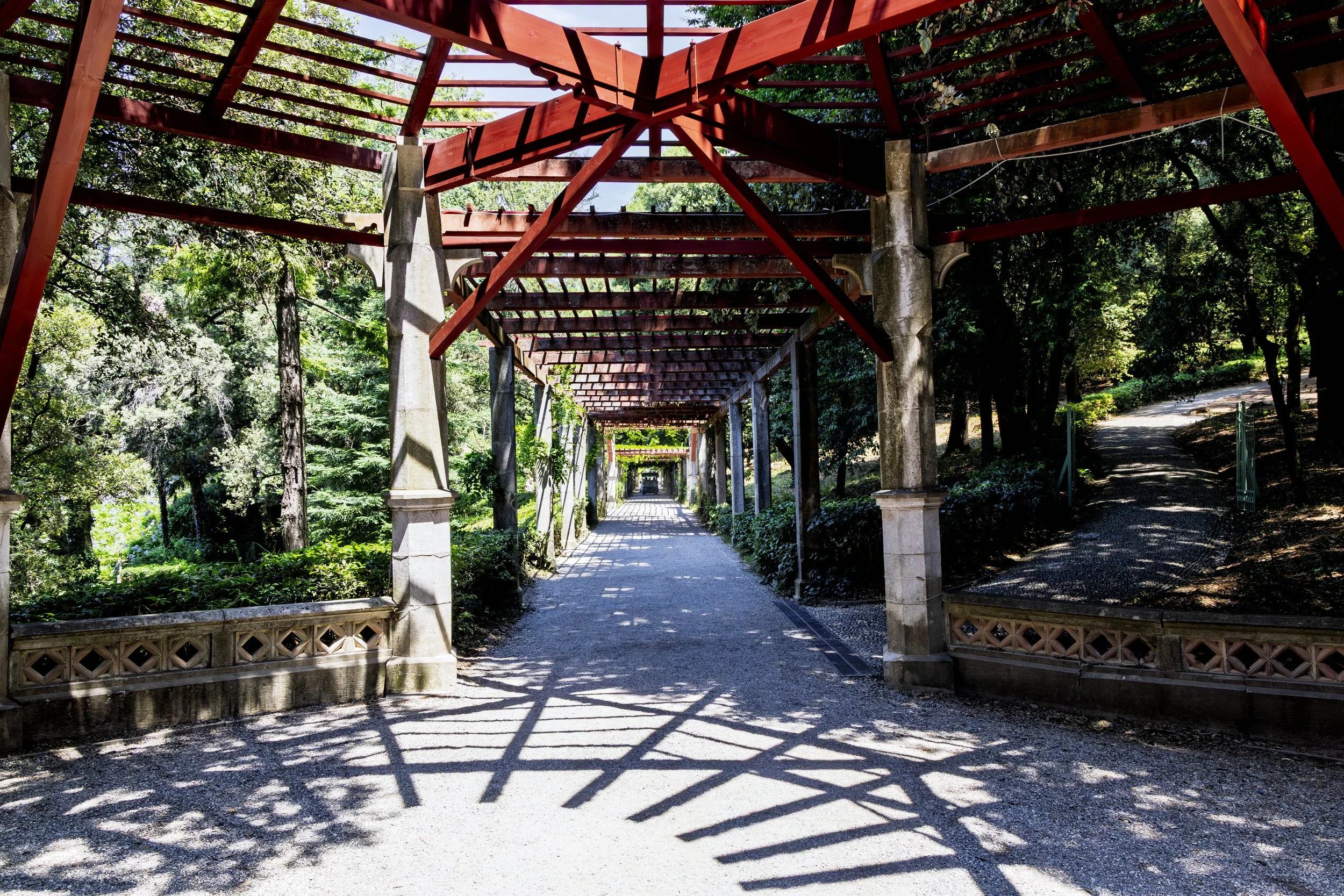 Pergola in the Park