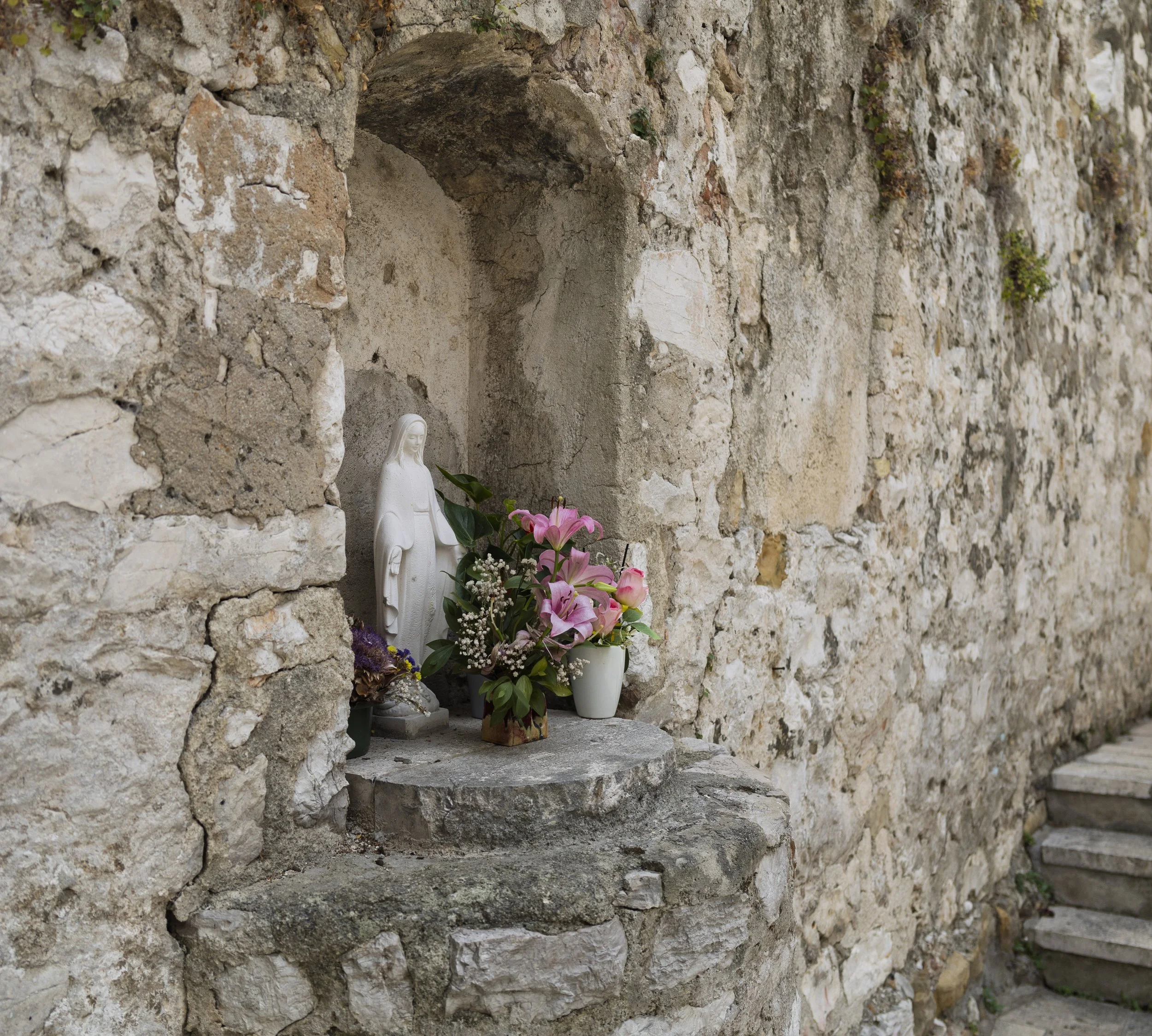 Flowers in a Wall