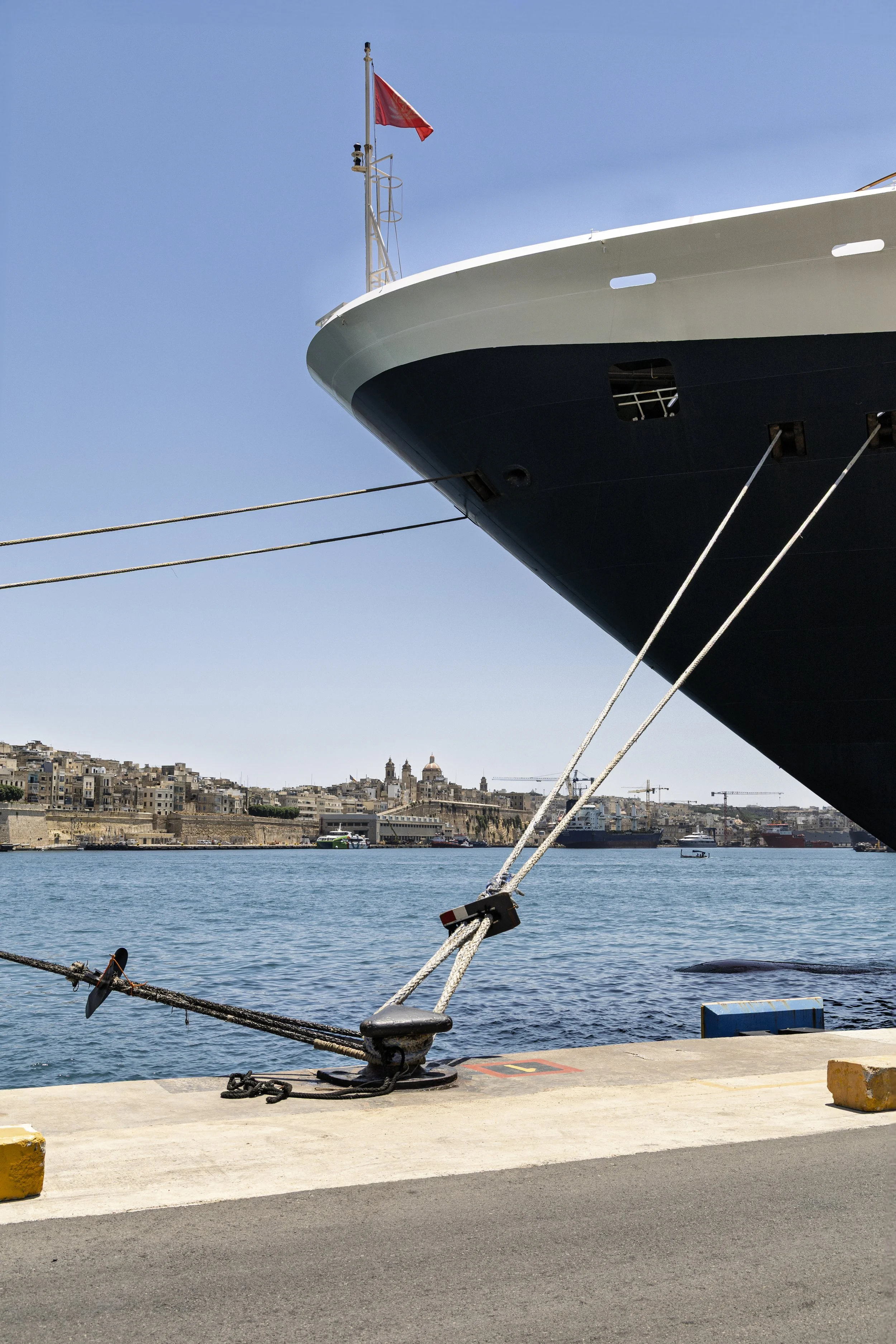 Queen Victoria at Dock