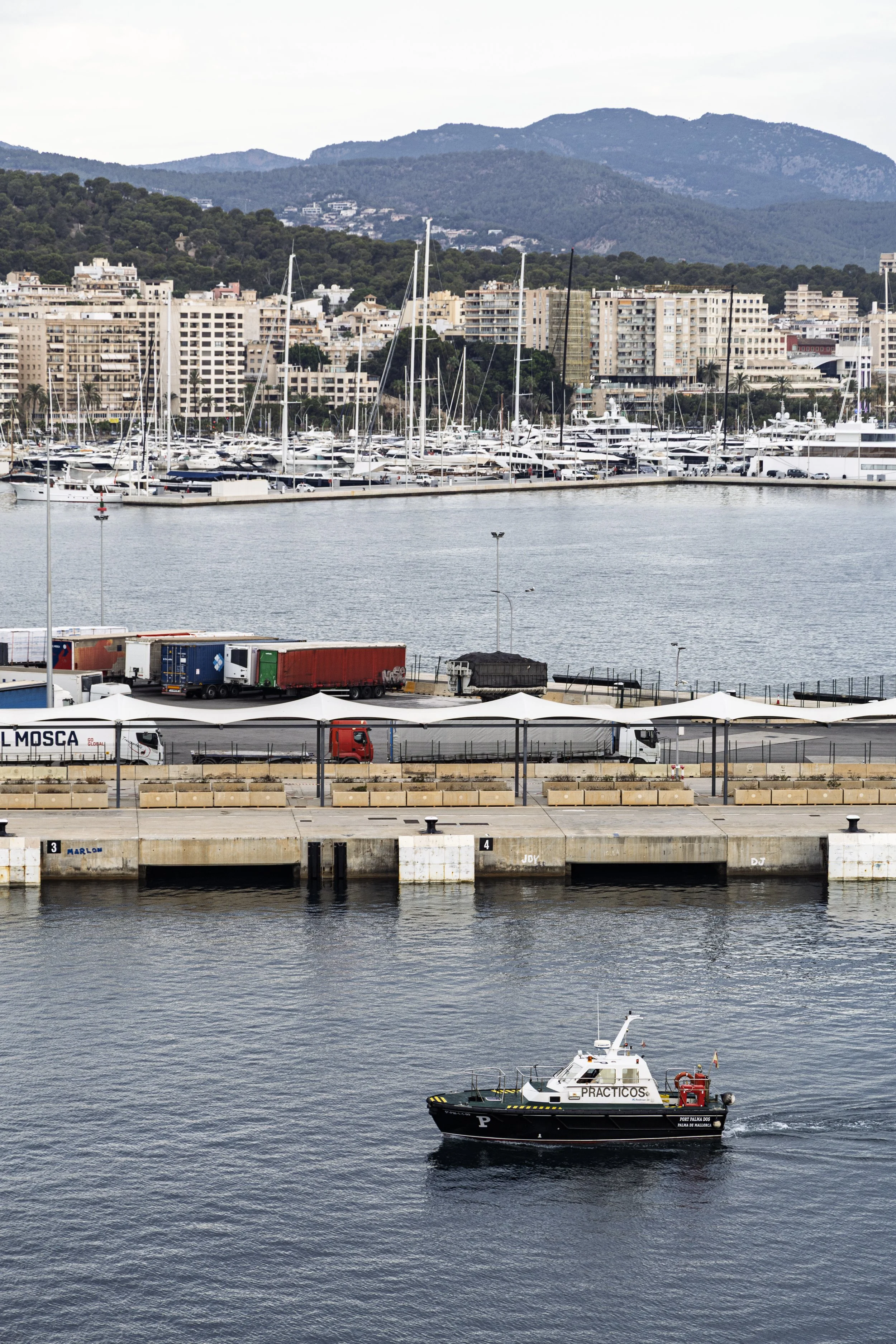 Docking at Palma