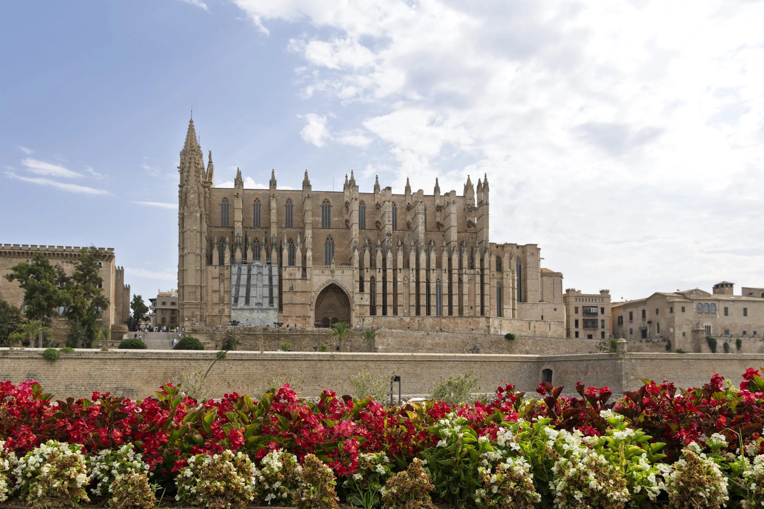 Mallorca Cathedral with Flowers
