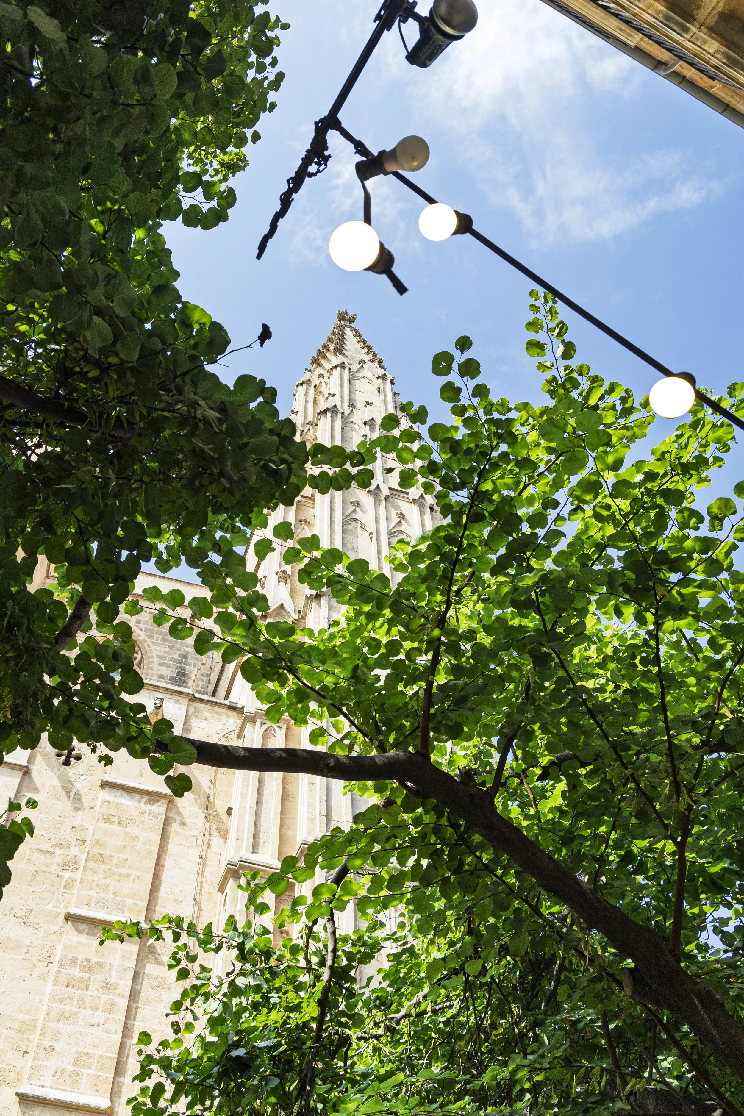 Cathedral with Lights