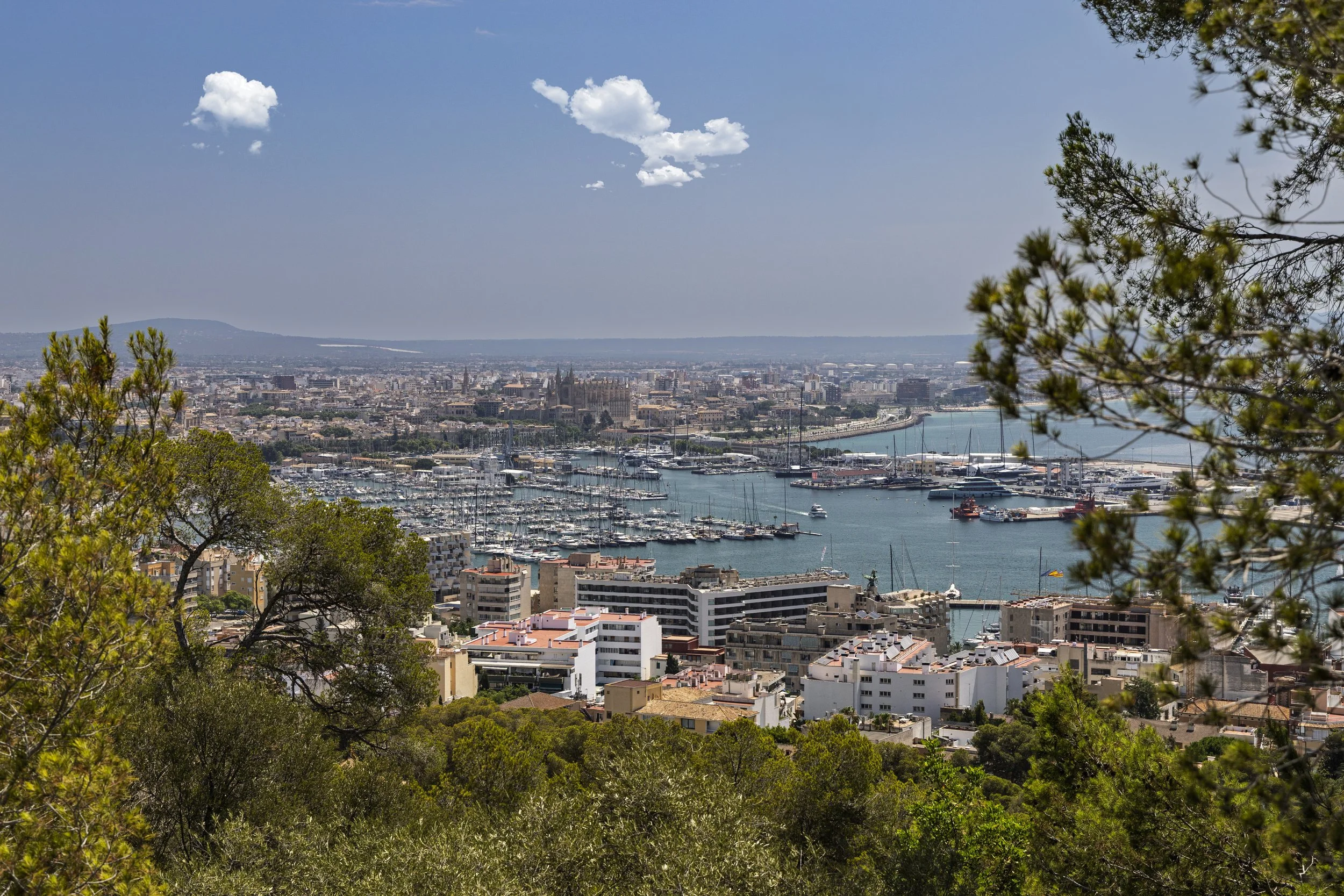 View from the Castle
