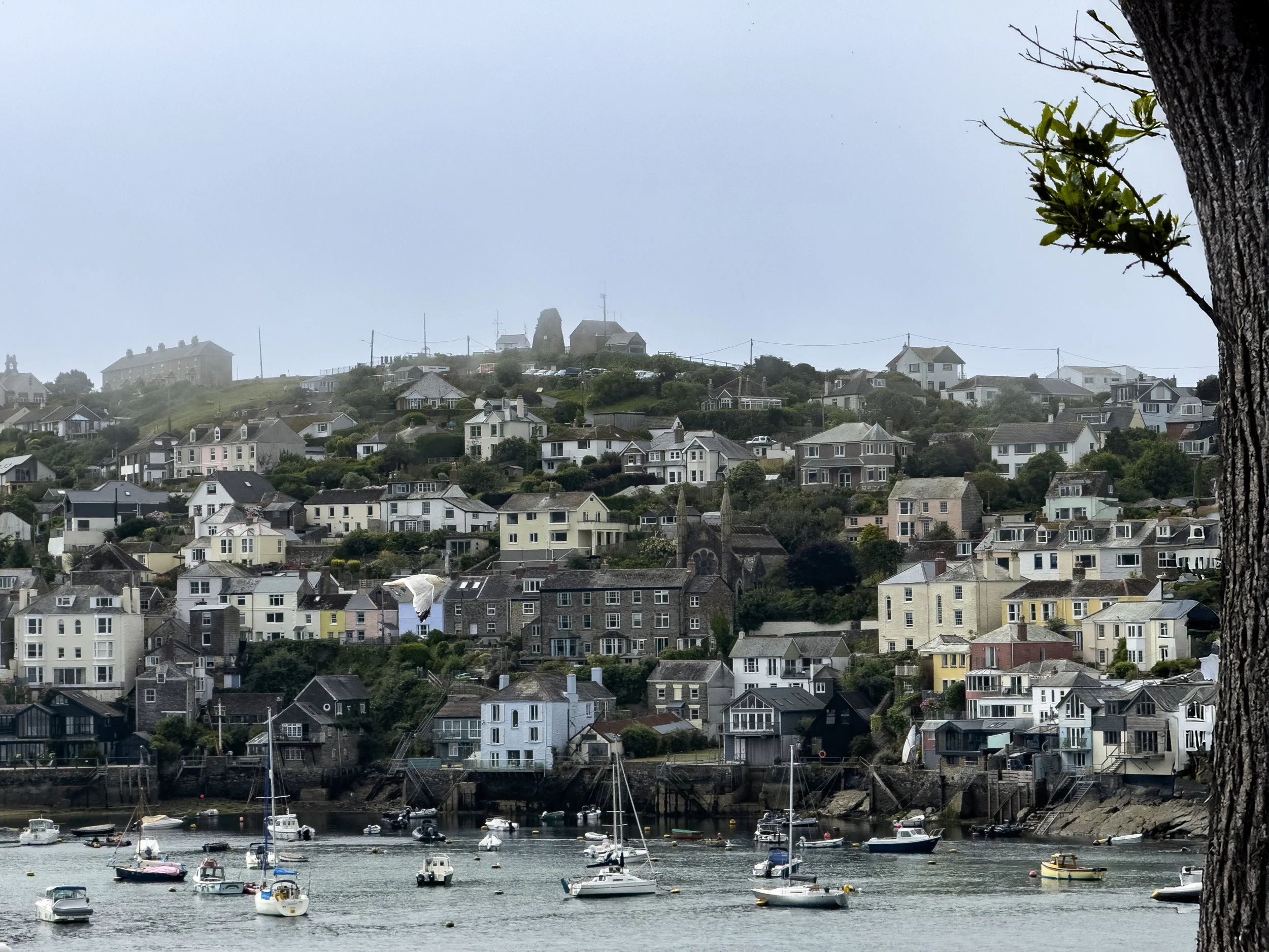 Wider View of Polruan