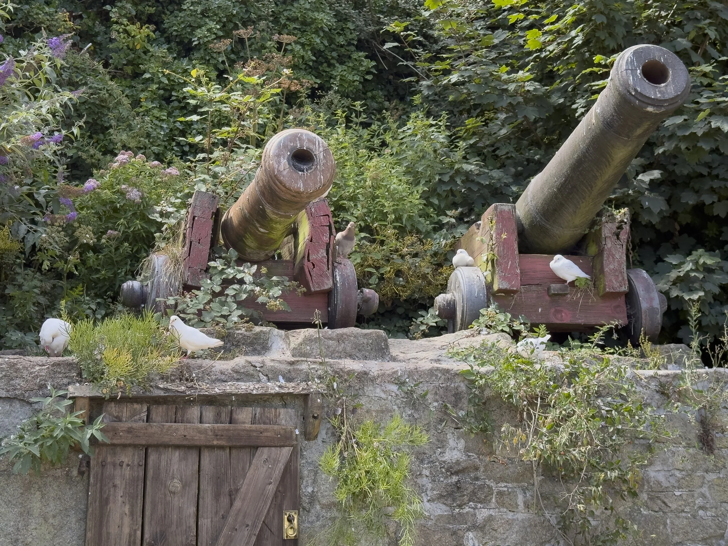 Two Cannons