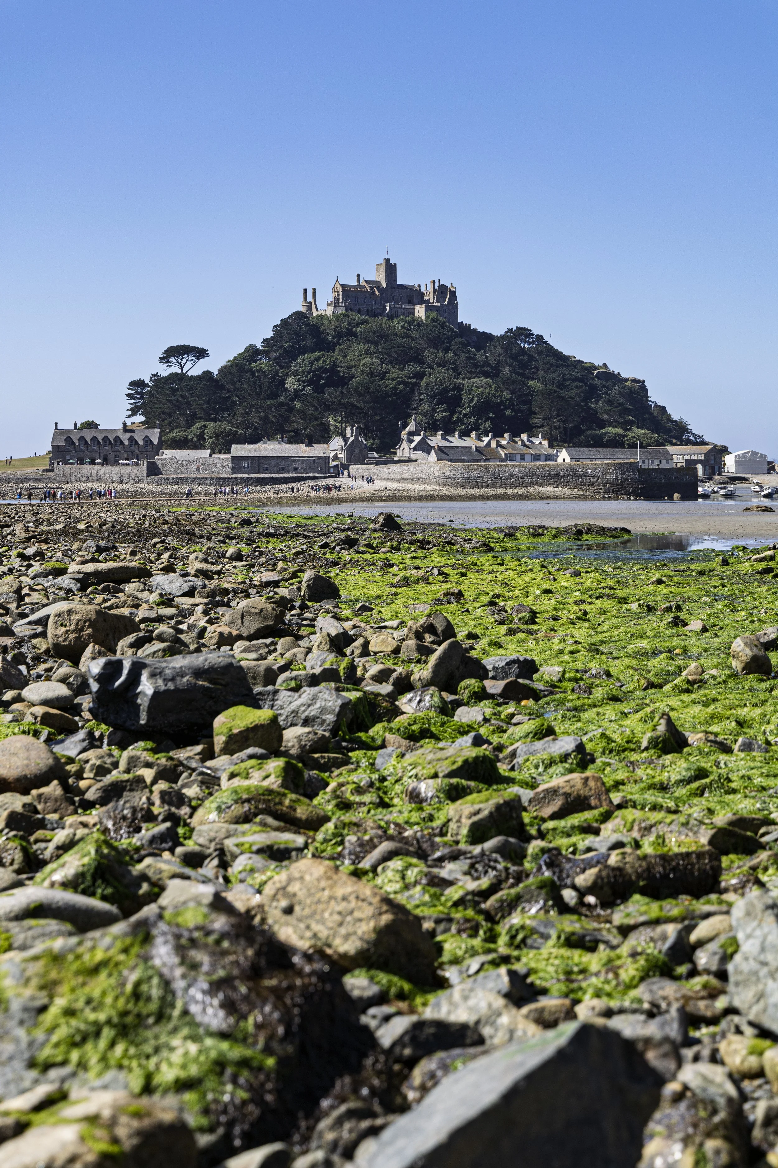 Rocky Foreground